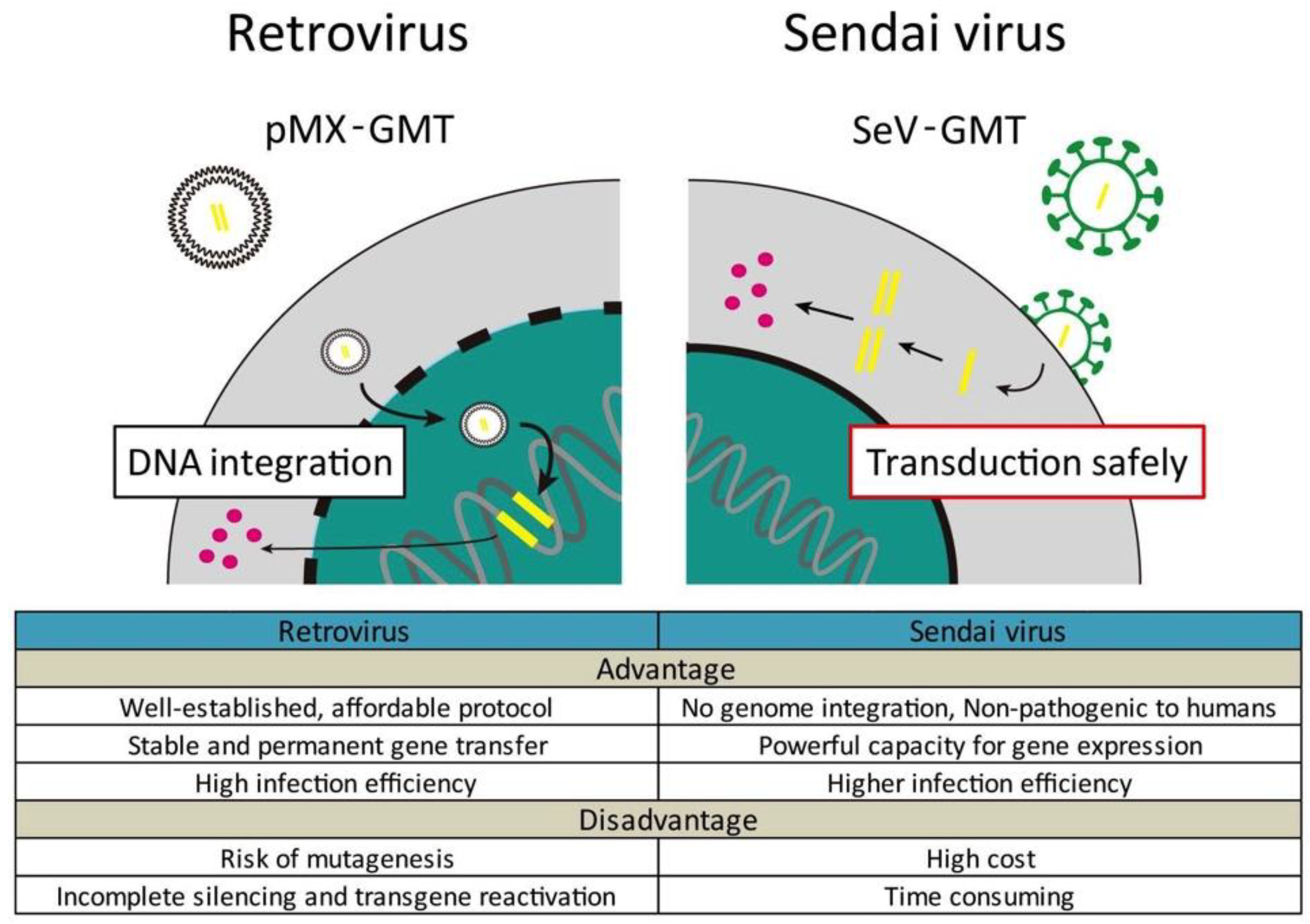 Ijms 19 02629 g002 Ijms 19 02629 g002