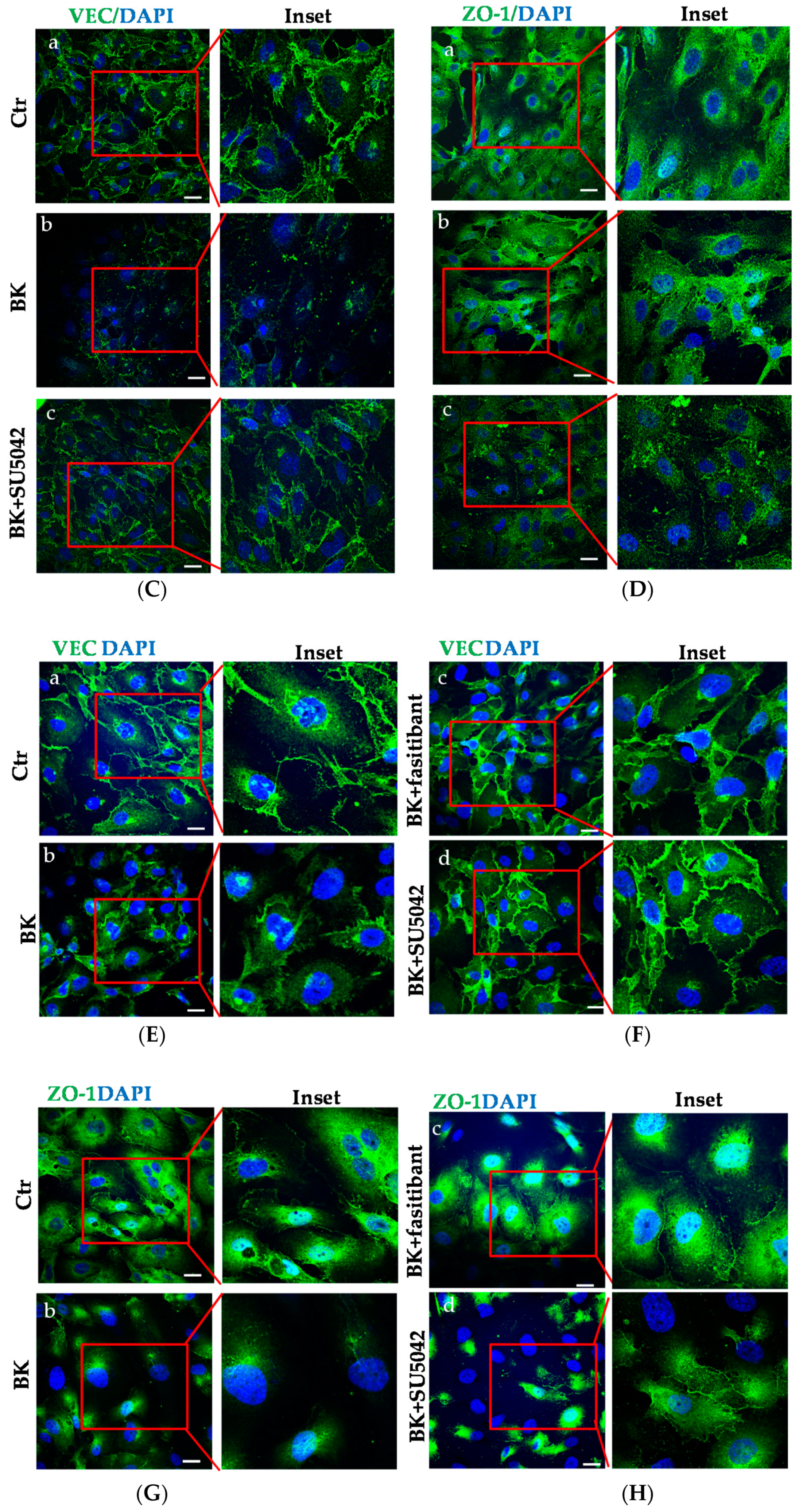 Ijms 19 02638 g006b Ijms 19 02638 g006b
