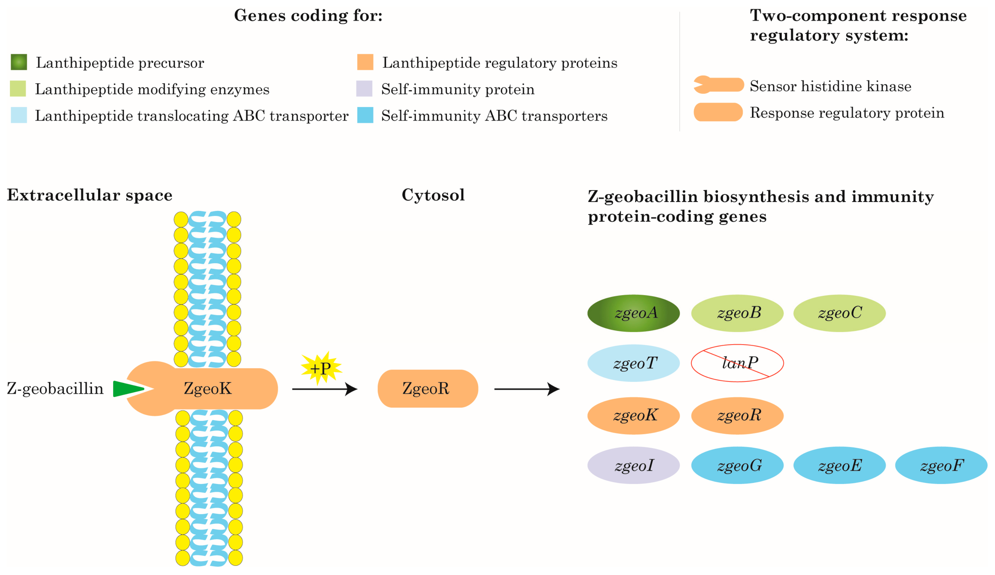 Ijms 19 02650 g005 Ijms 19 02650 g005