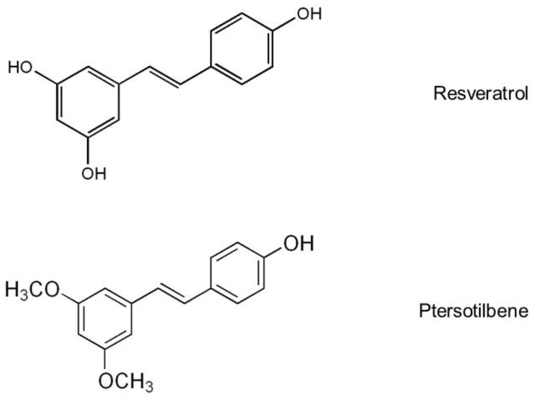 Ijms 19 02654 g001 Ijms 19 02654 g001