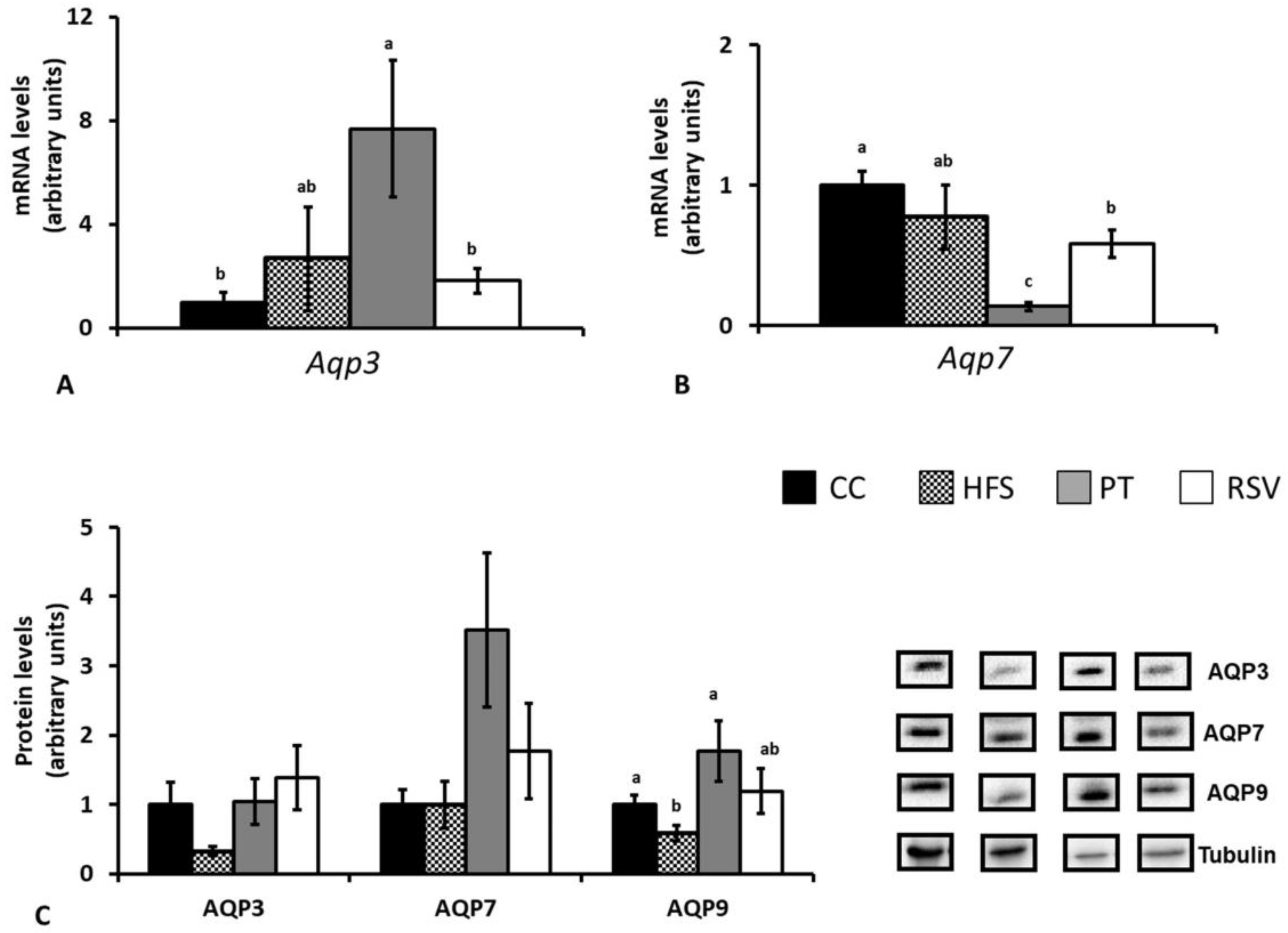 Ijms 19 02654 g006 Ijms 19 02654 g006