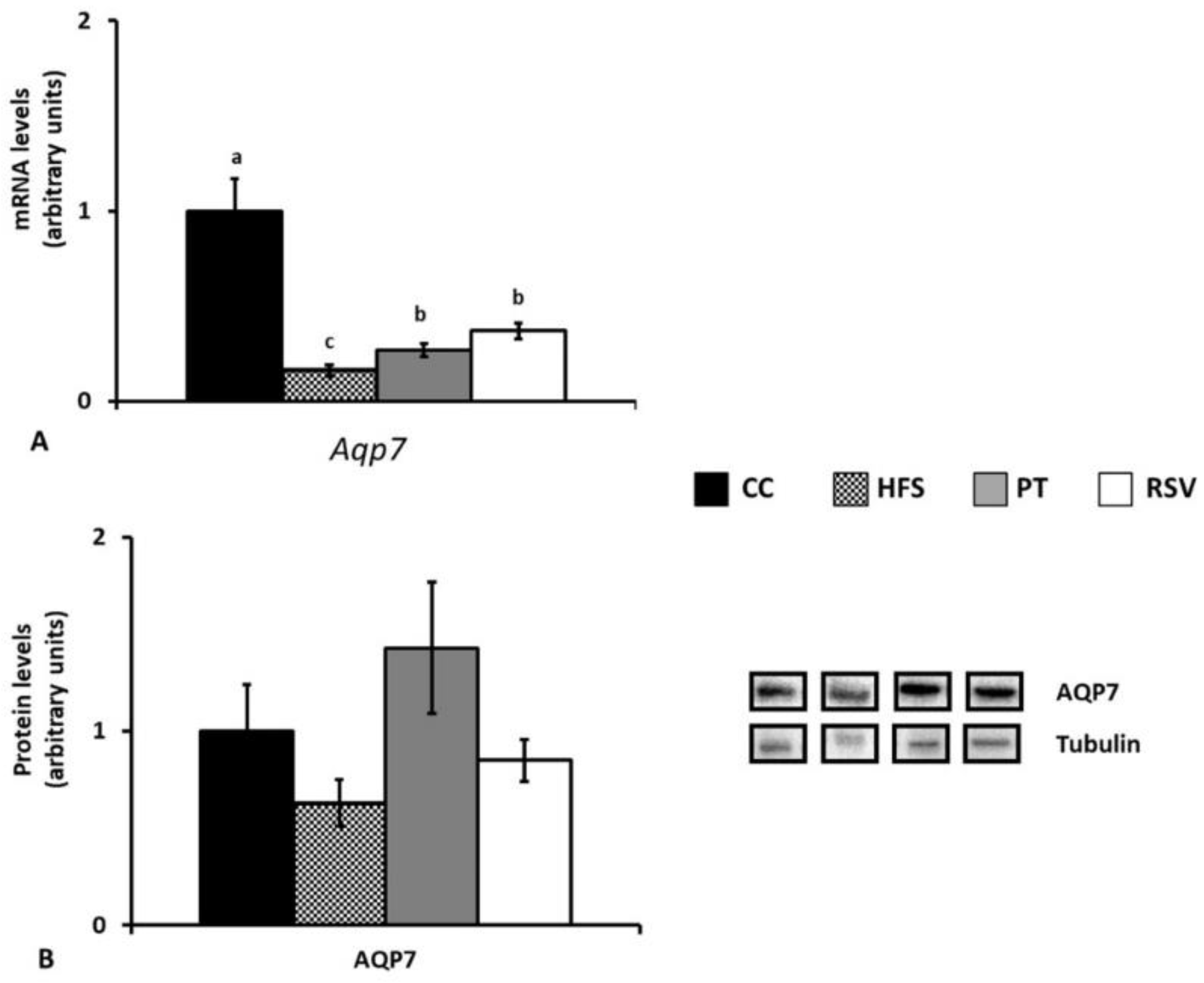 Ijms 19 02654 g007 Ijms 19 02654 g007