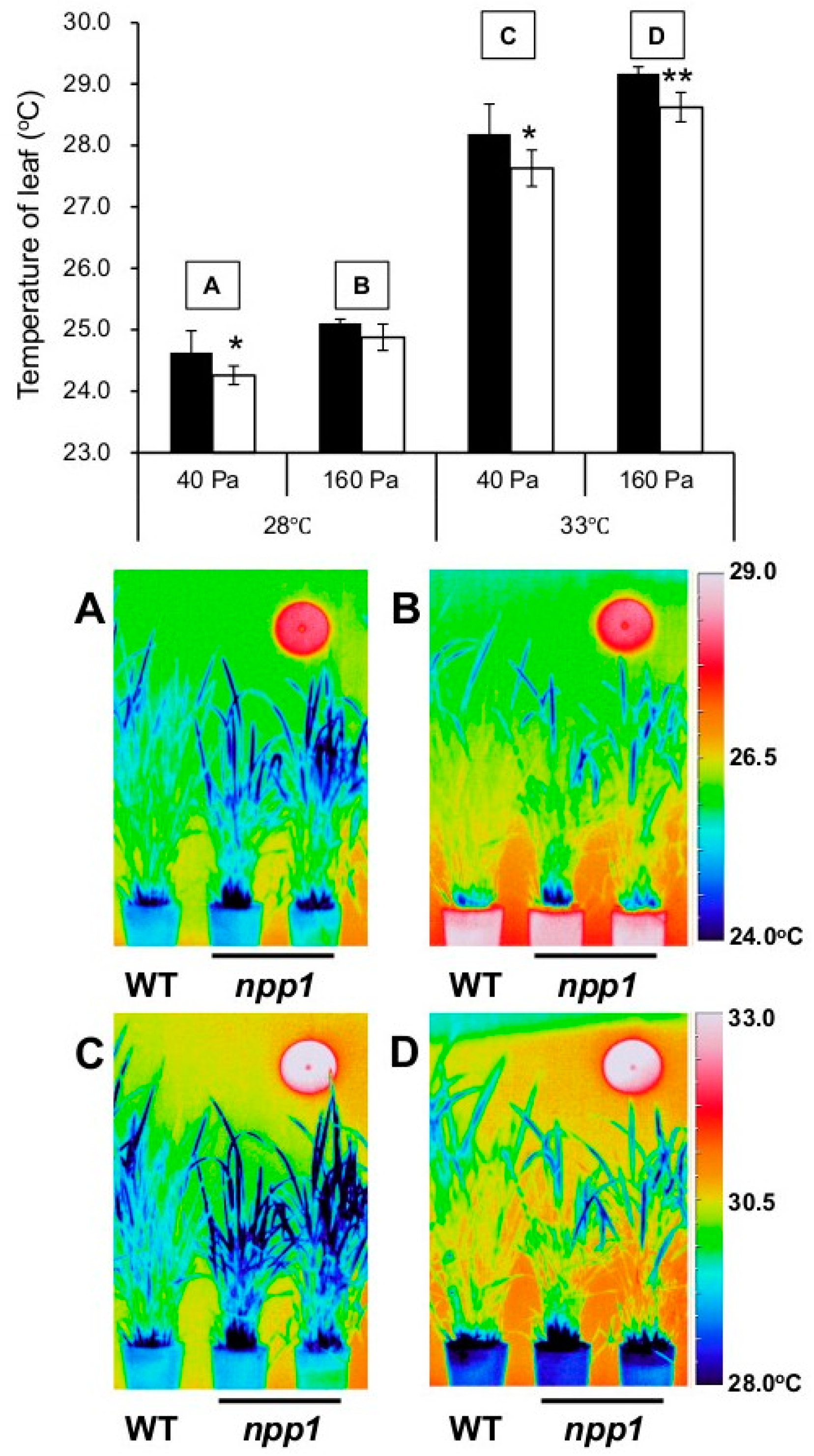 Ijms 19 02655 g001 Ijms 19 02655 g001