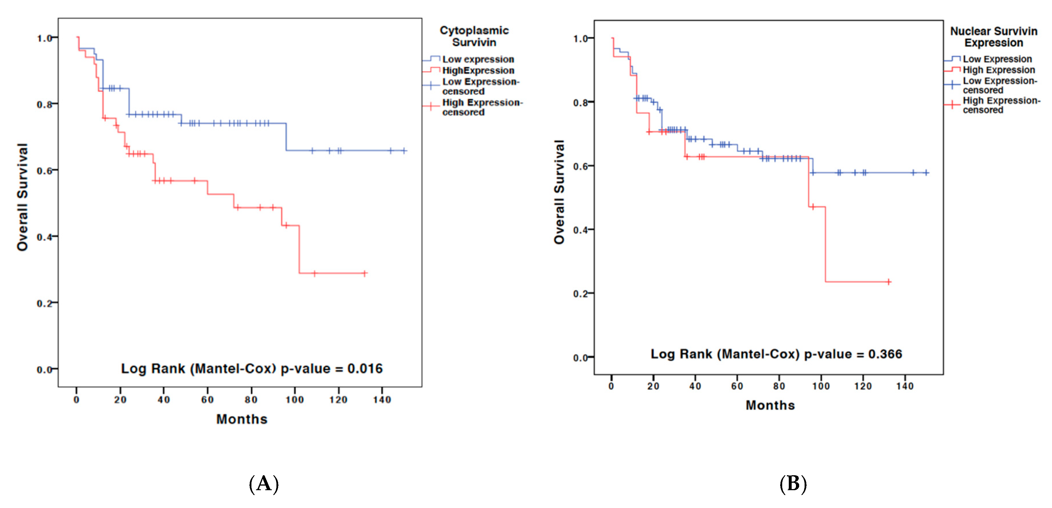 Ijms 19 02664 g004 Ijms 19 02664 g004