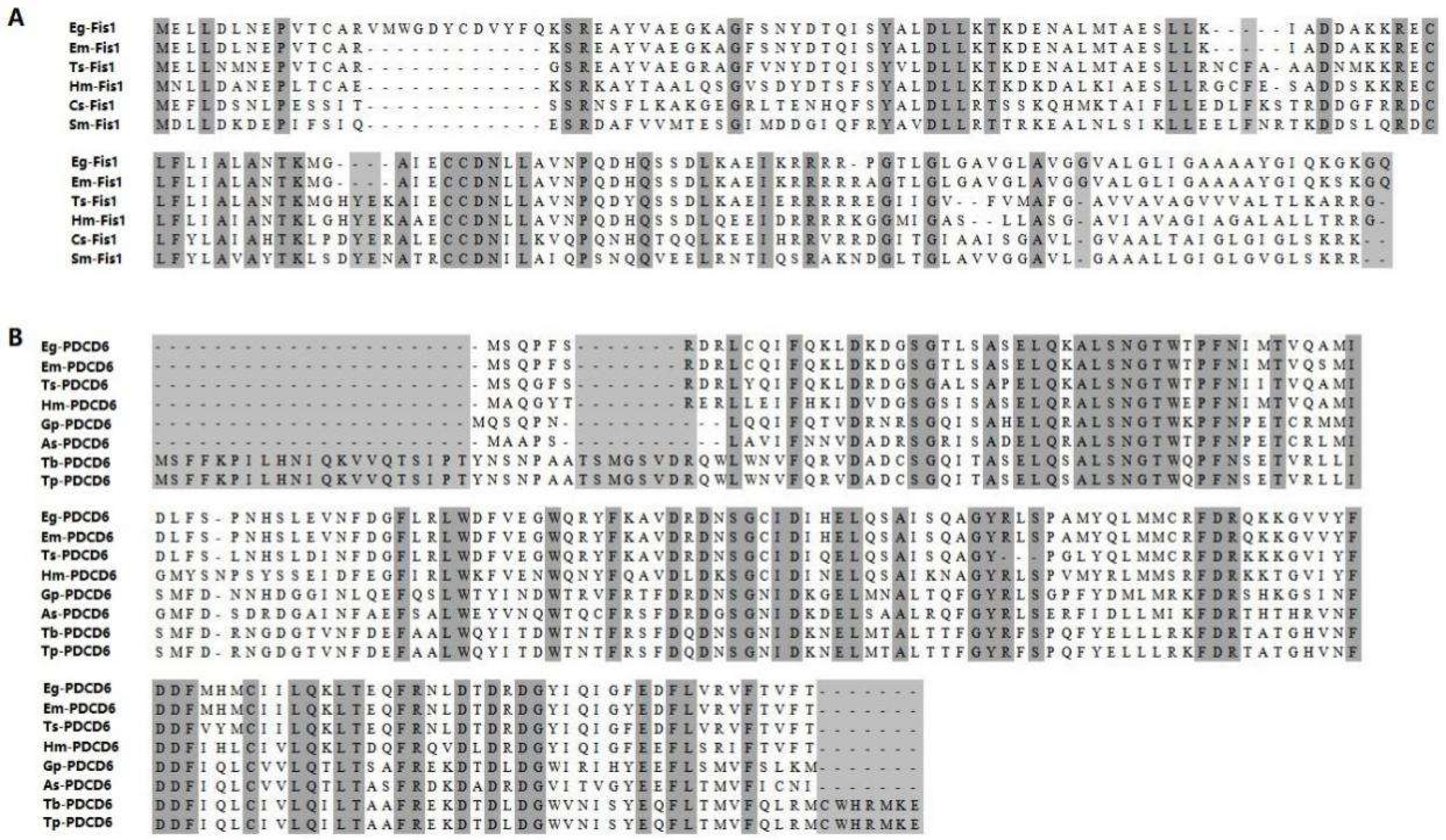 Ijms 19 02669 g001 Ijms 19 02669 g001