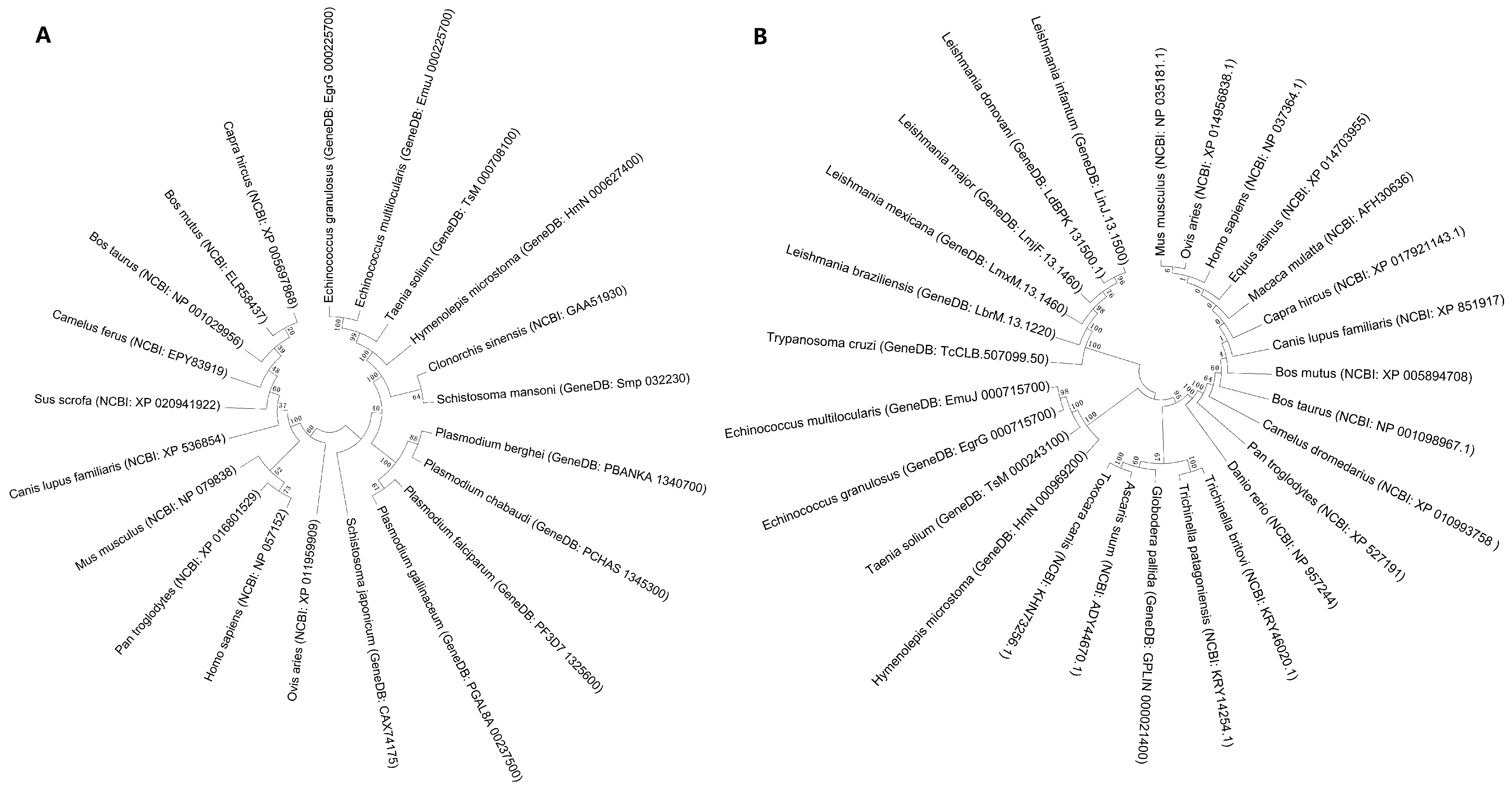 Ijms 19 02669 g002 Ijms 19 02669 g002