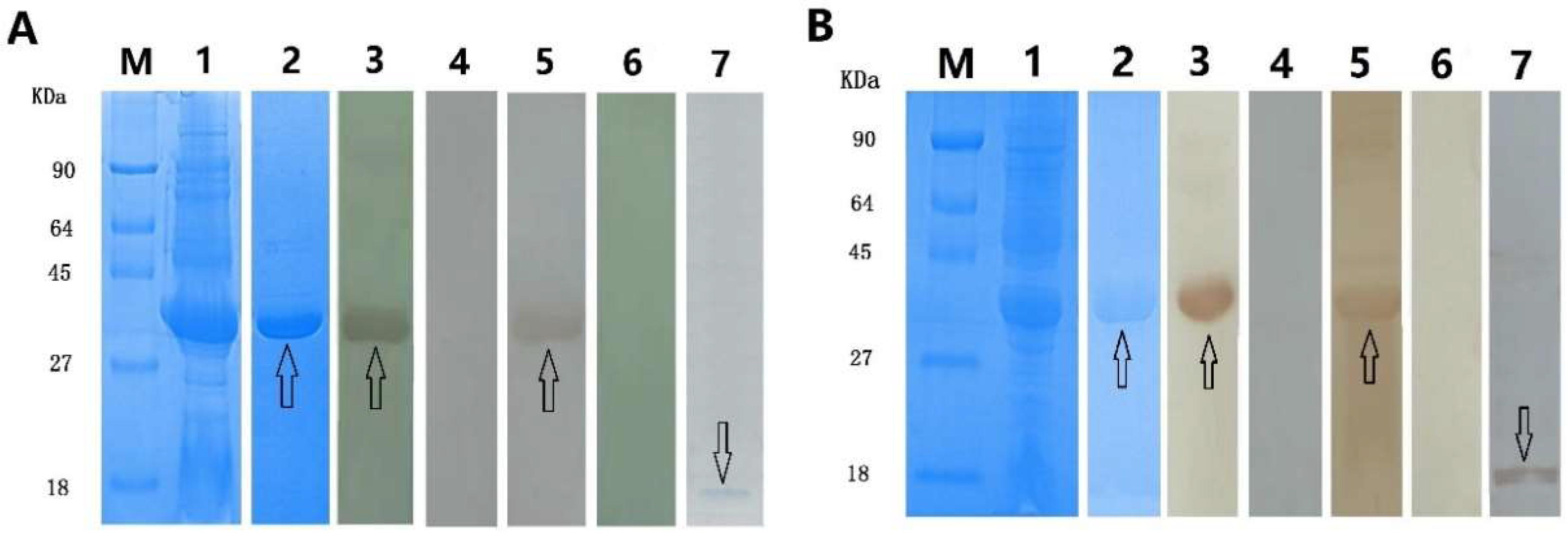 Ijms 19 02669 g003 Ijms 19 02669 g003