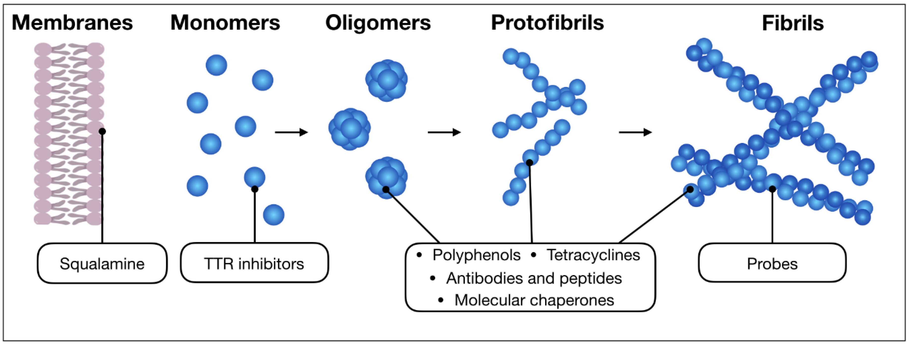 Ijms Free Full Text Crossing Bacterial Genomic Features And