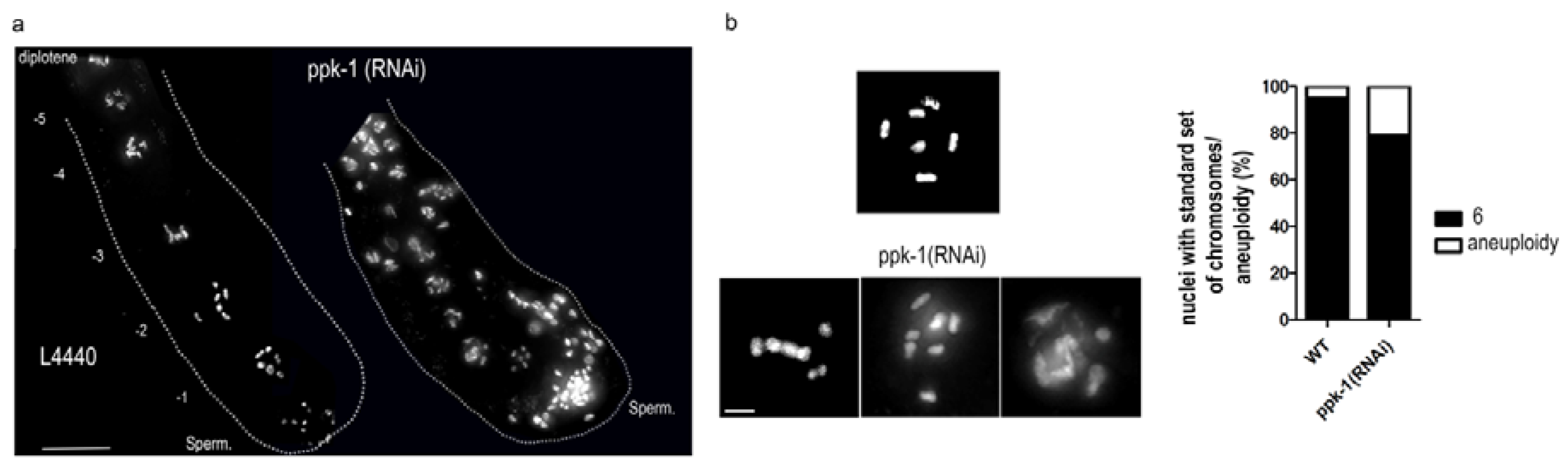 Ijms 19 02679 g002