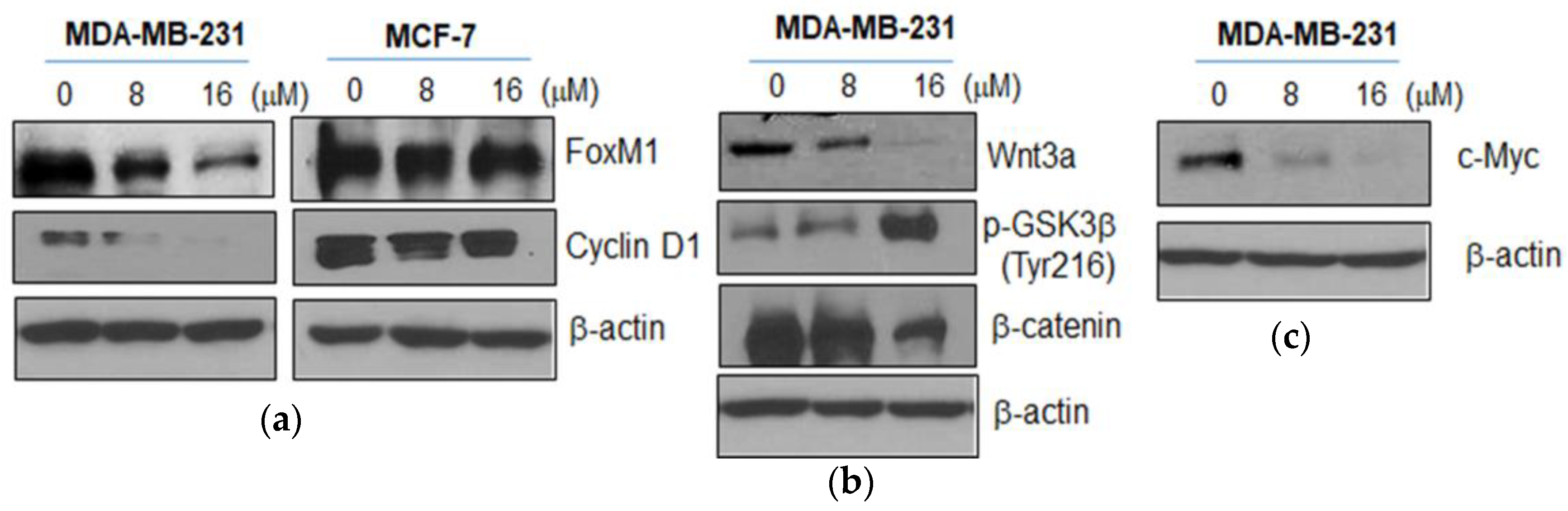 Ijms 19 02681 g003
