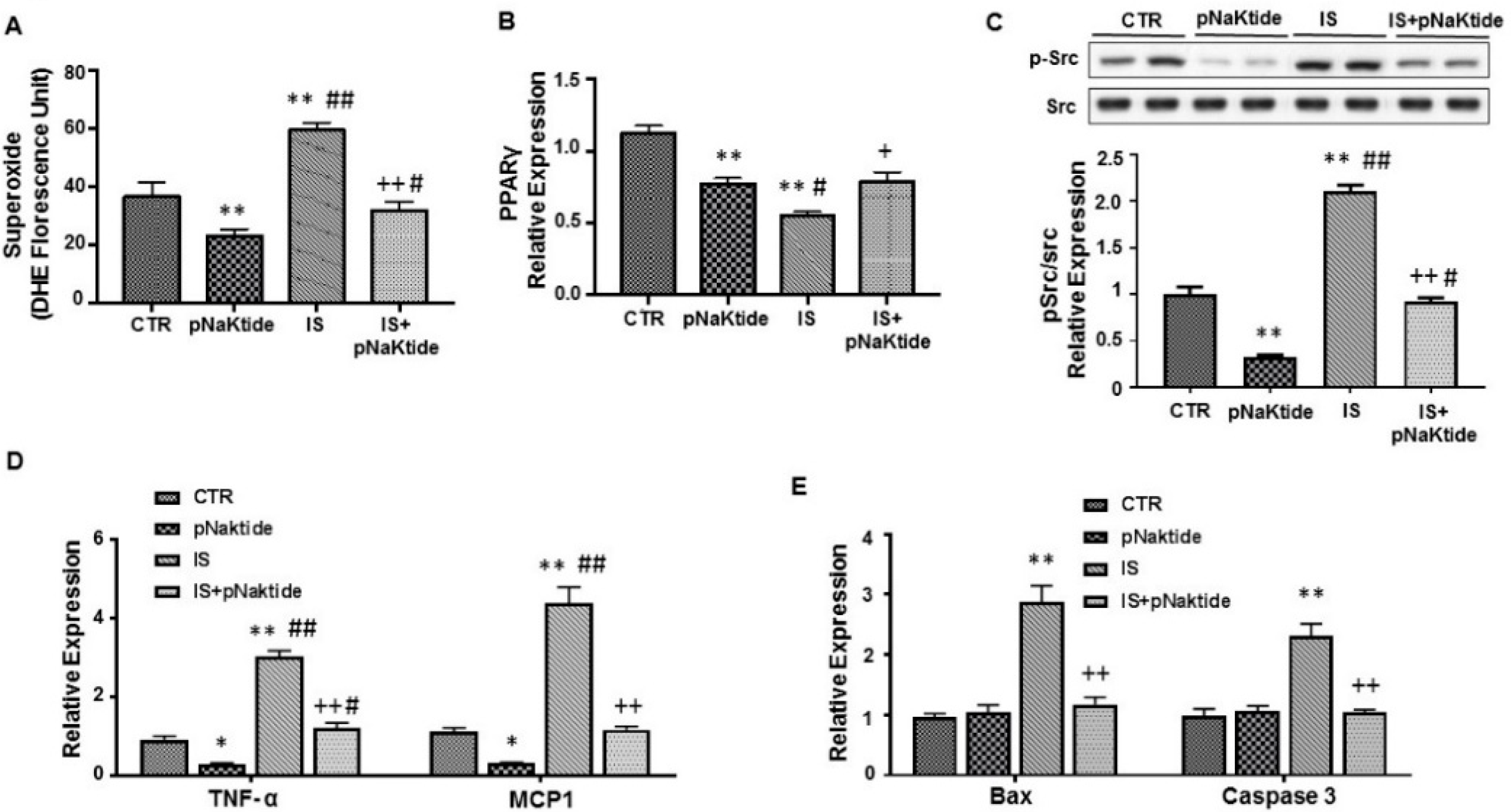 Ijms 19 02685 g002 Ijms 19 02685 g002