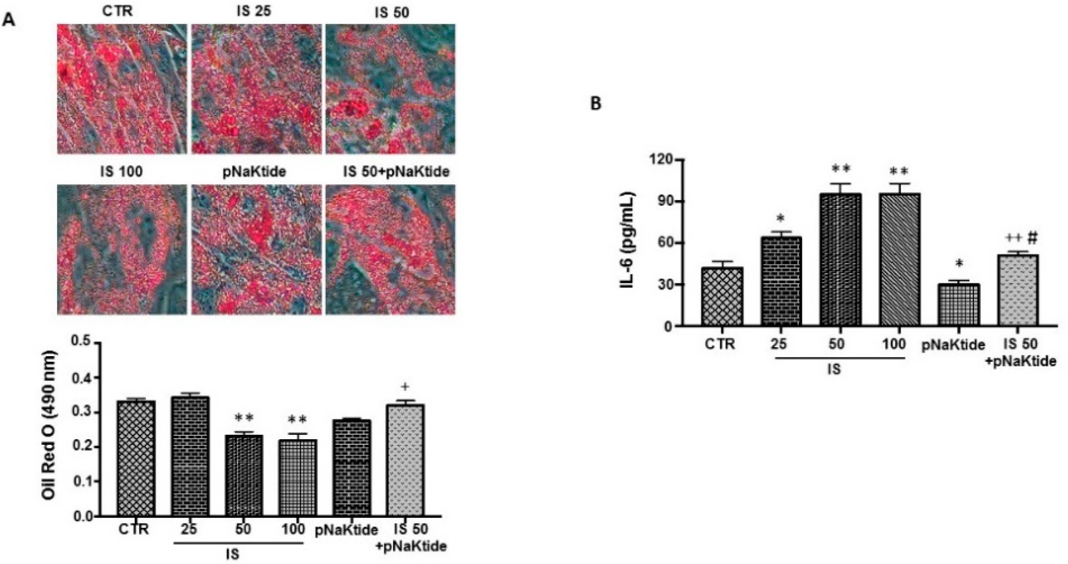 Ijms 19 02685 g005 Ijms 19 02685 g005