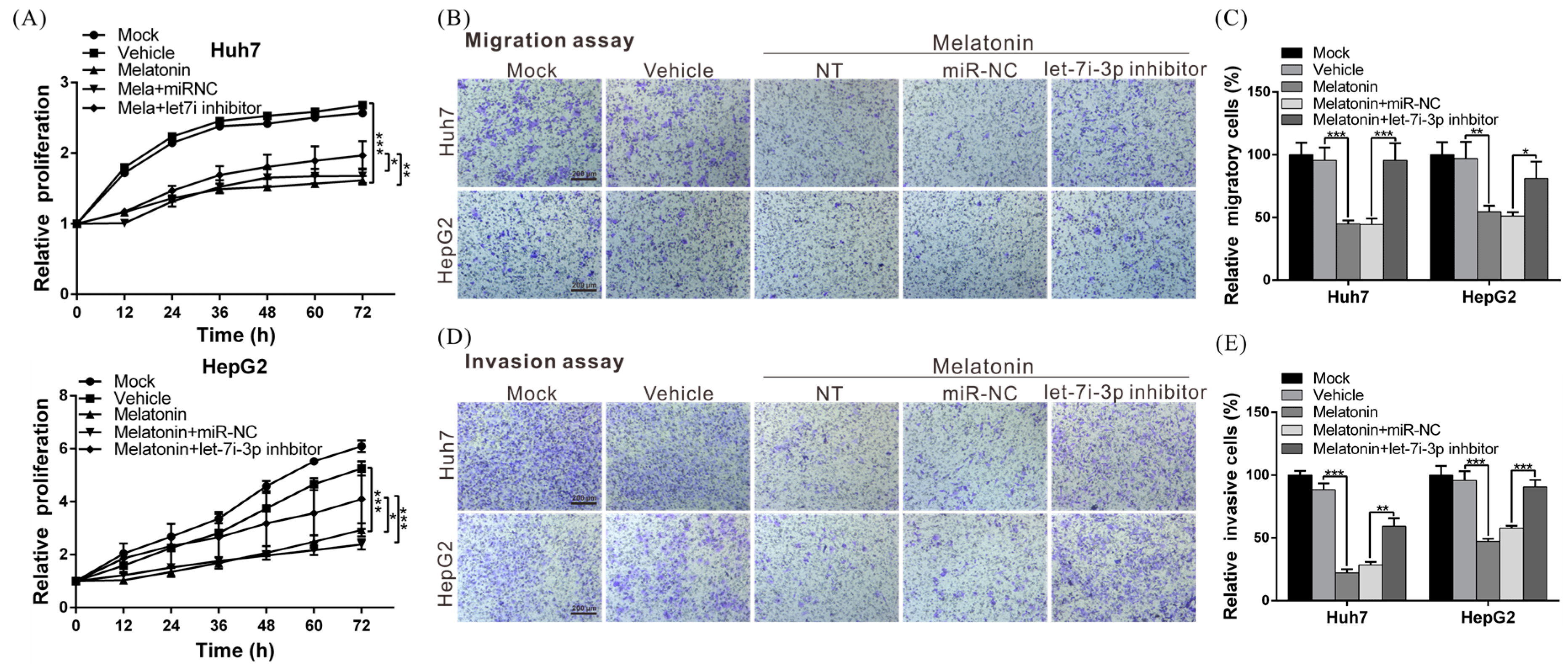 Ijms 19 02687 g005
