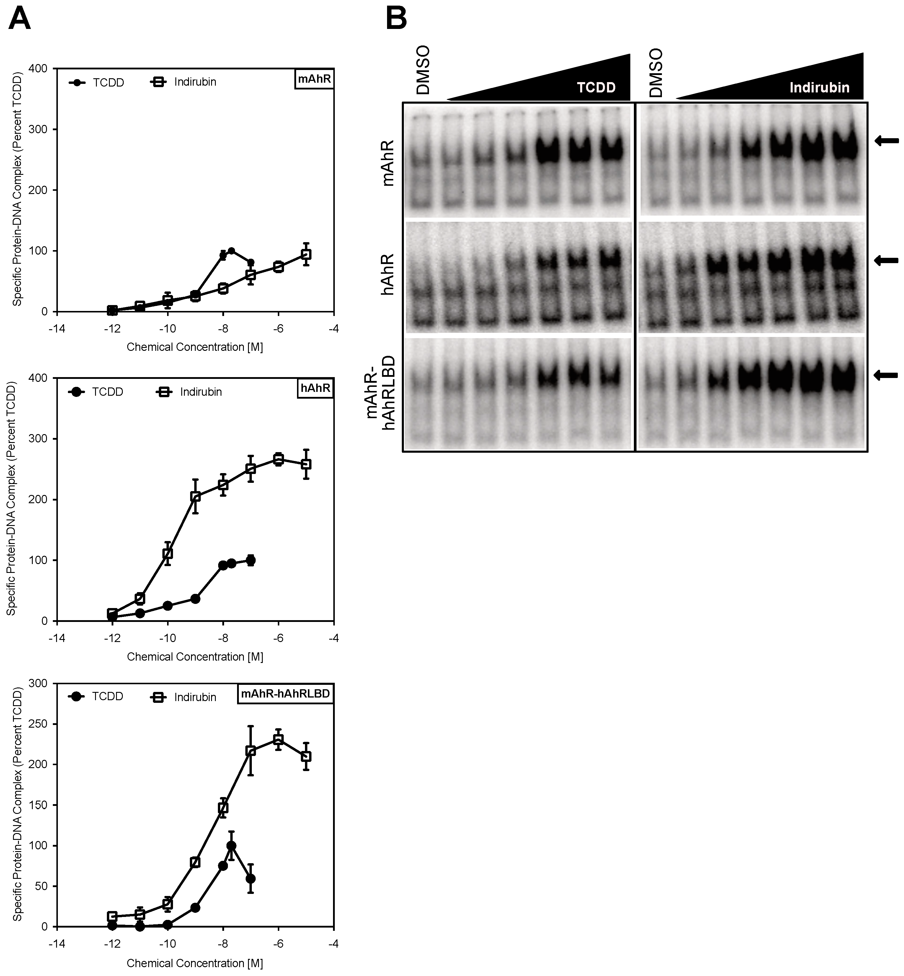 Ijms 19 02692 g003 Ijms 19 02692 g003