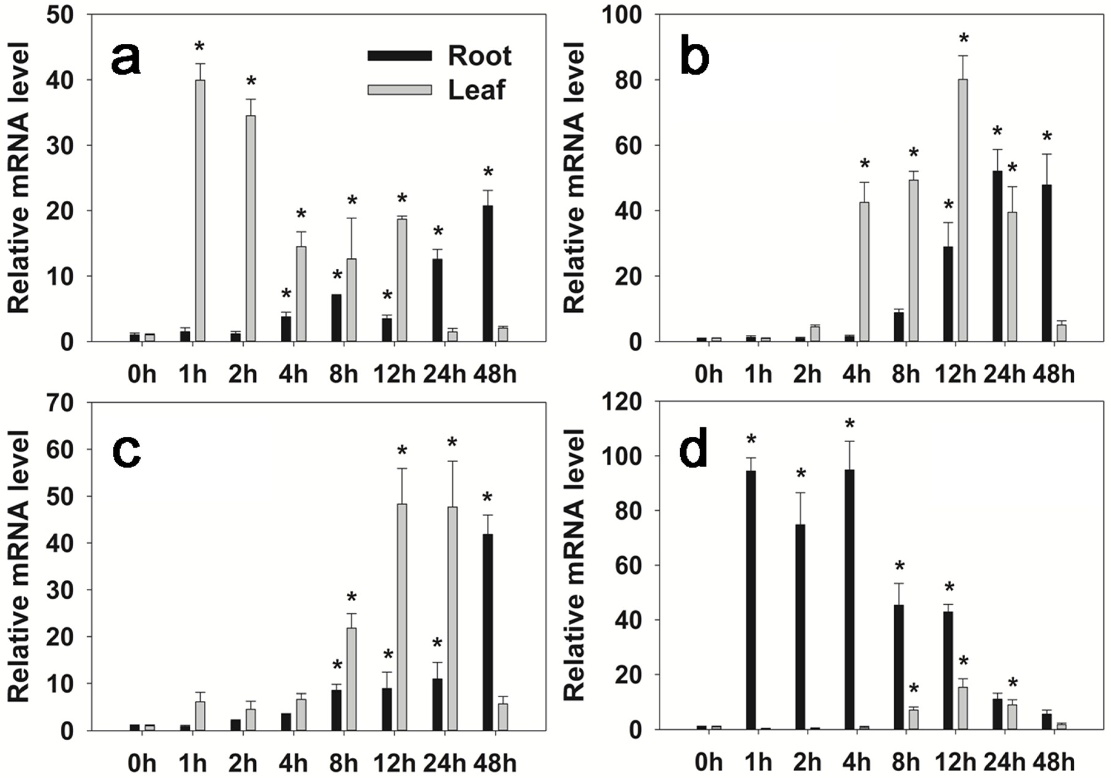 Ijms 19 02702 g004 Ijms 19 02702 g004