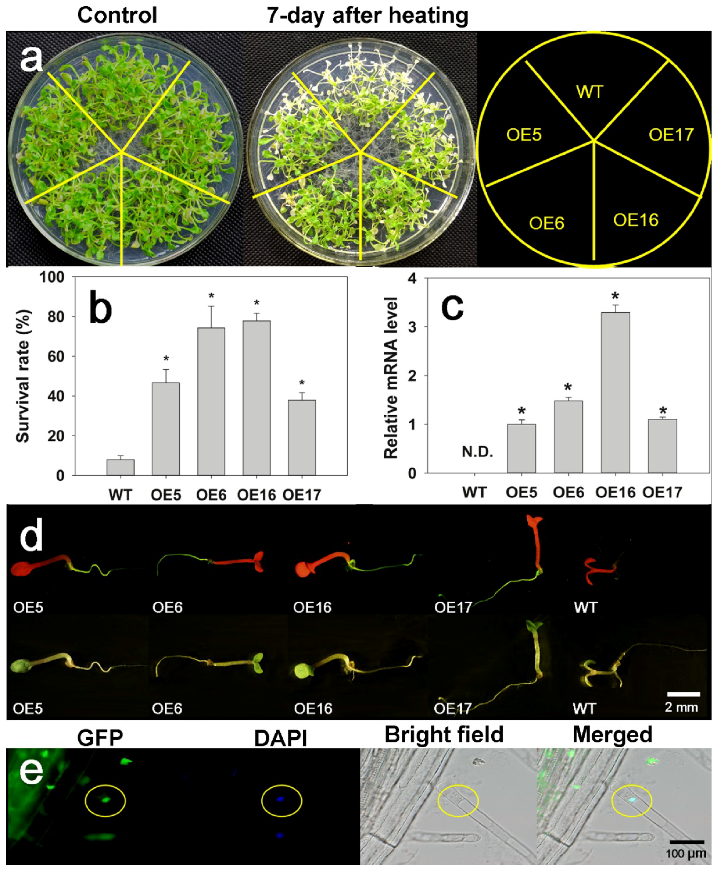 Ijms 19 02702 g005 Ijms 19 02702 g005