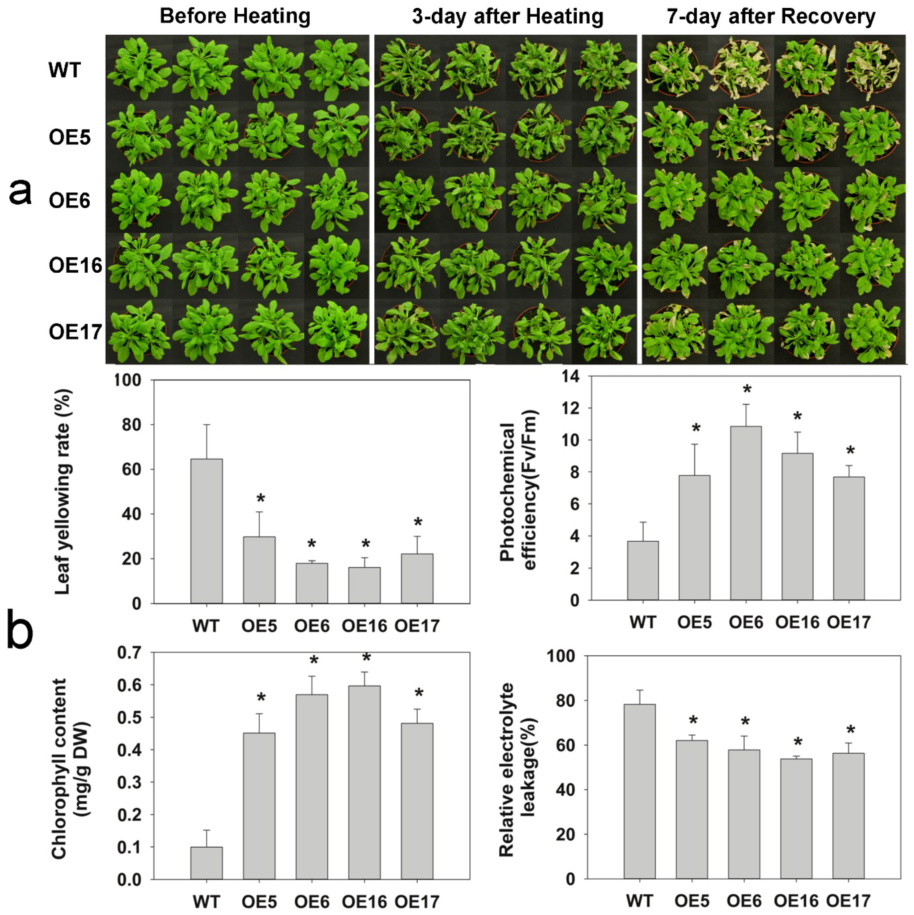 Ijms 19 02702 g006 Ijms 19 02702 g006