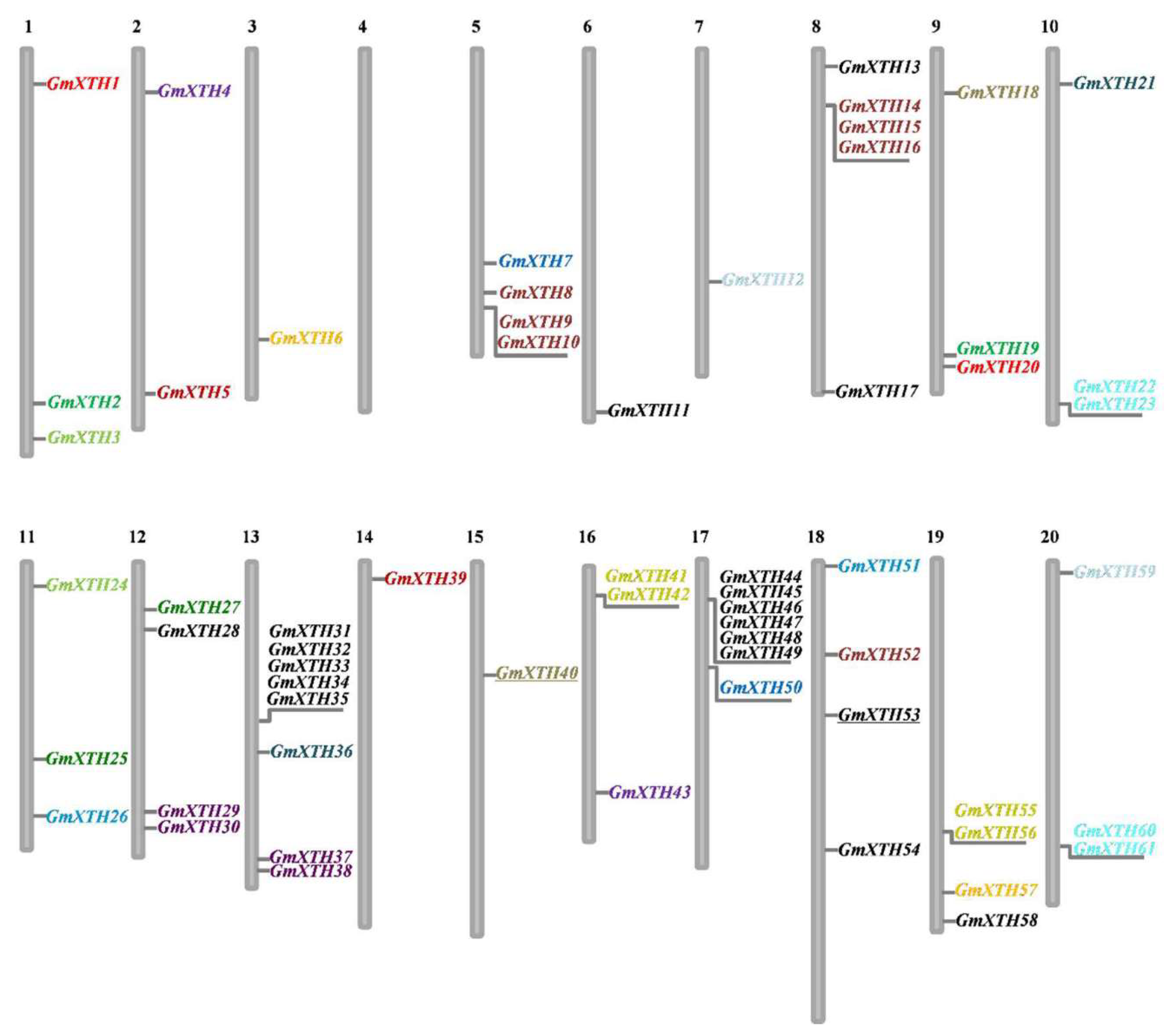 Ijms 19 02705 g002 Ijms 19 02705 g002