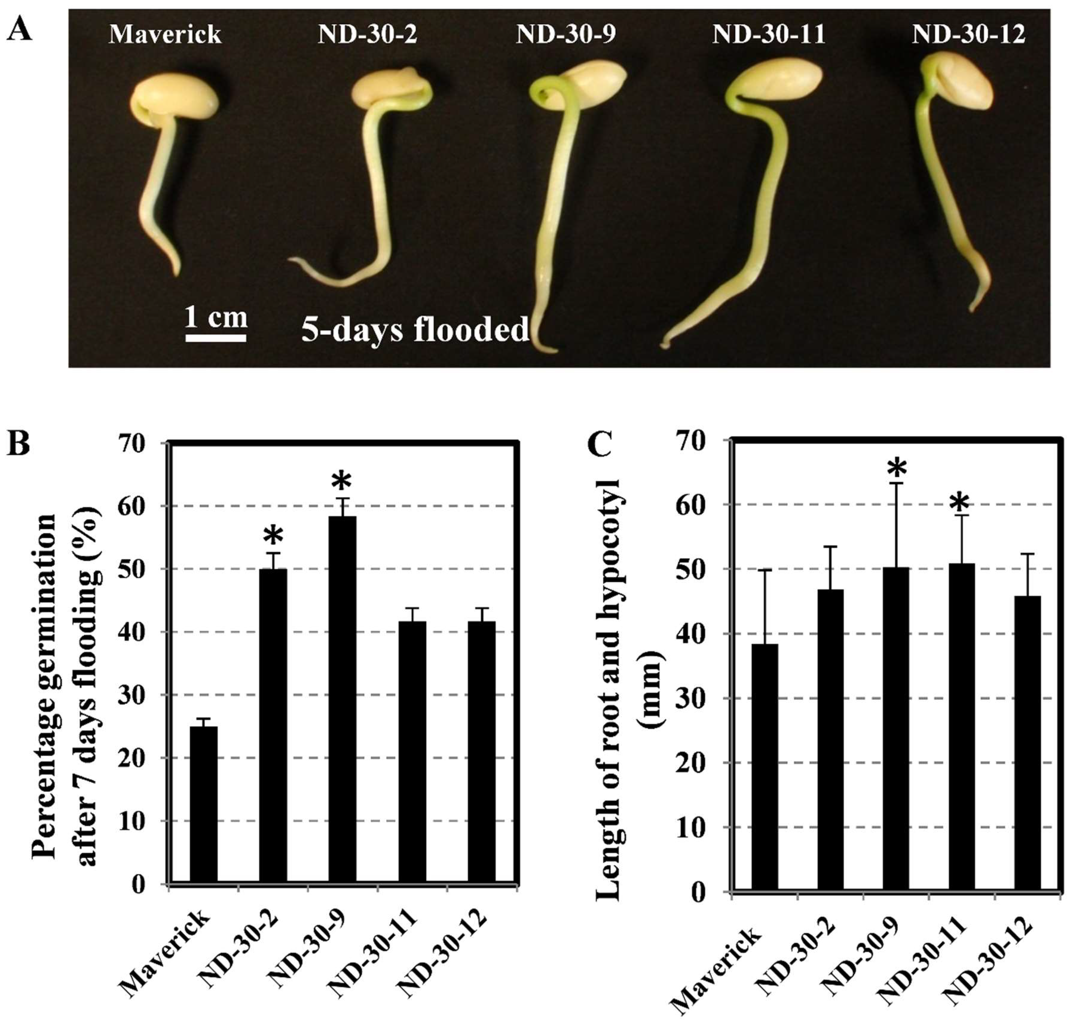 Ijms 19 02705 g007 Ijms 19 02705 g007