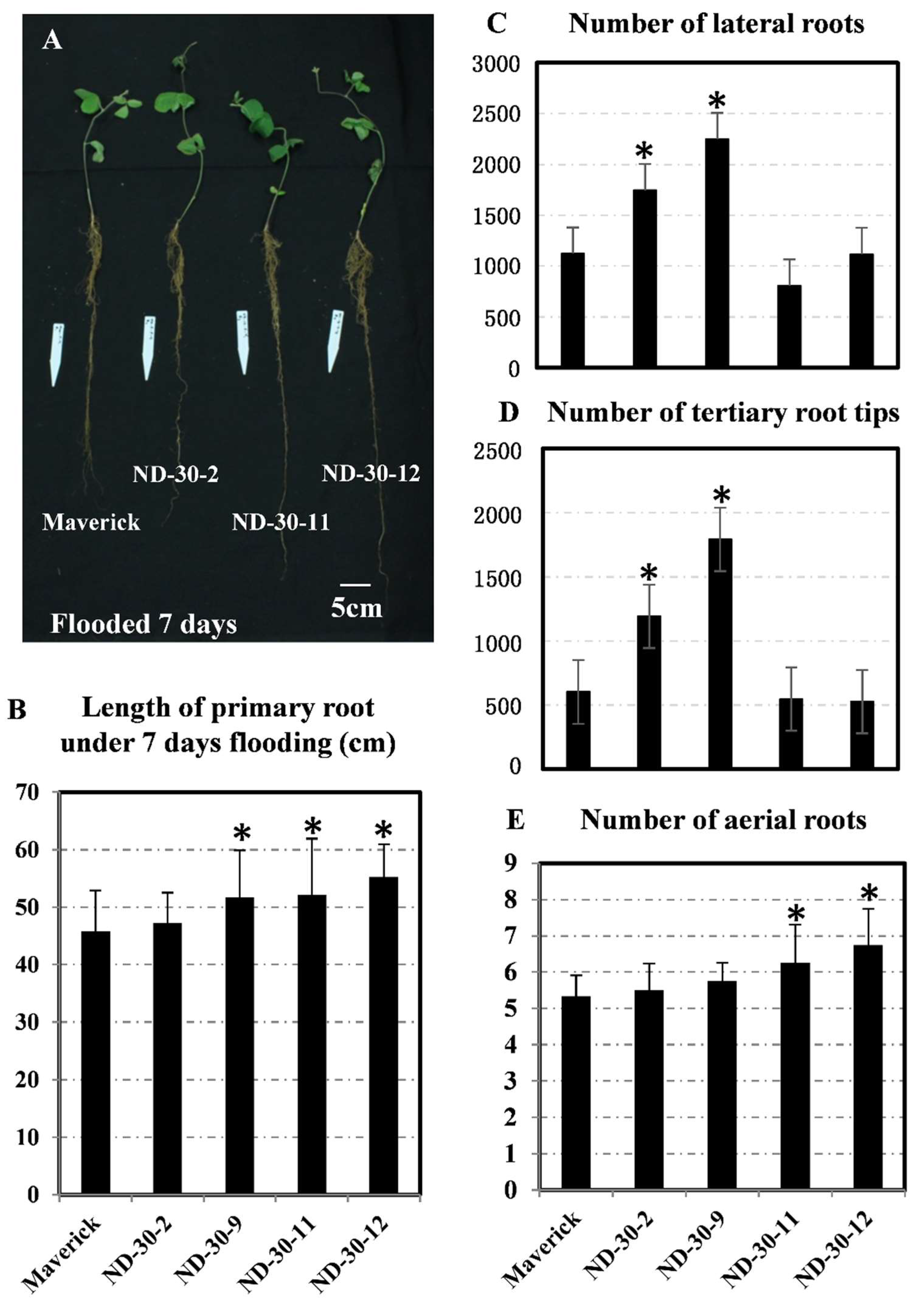Ijms 19 02705 g008 Ijms 19 02705 g008