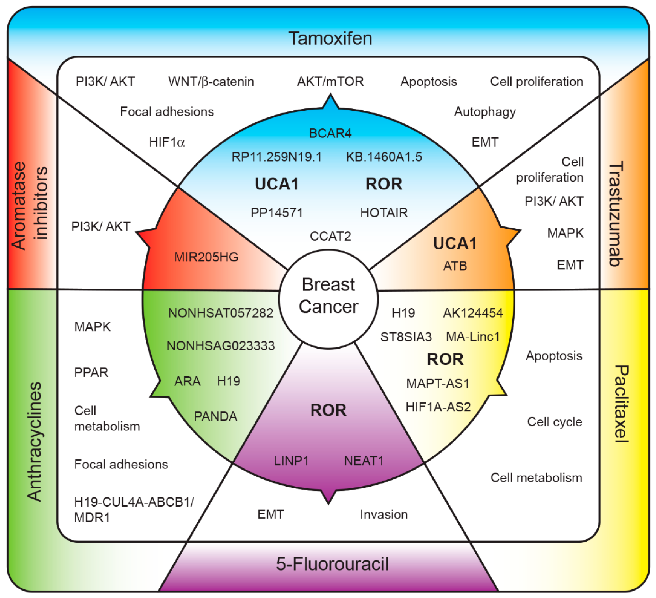 Ijms 19 02711 g001 Ijms 19 02711 g001