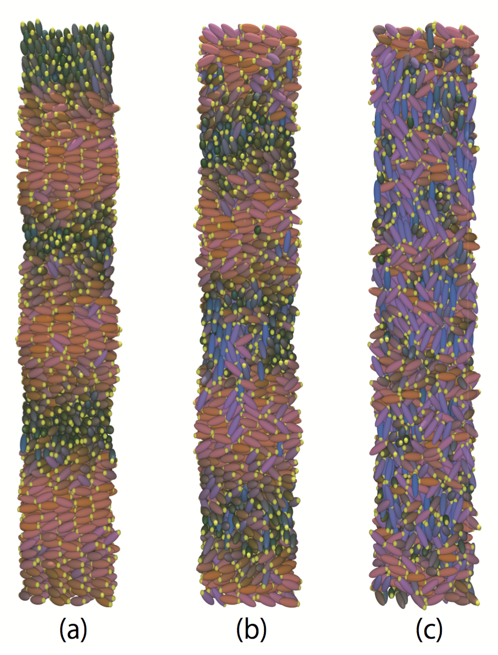 Ijms 19 02715 g012 Ijms 19 02715 g012