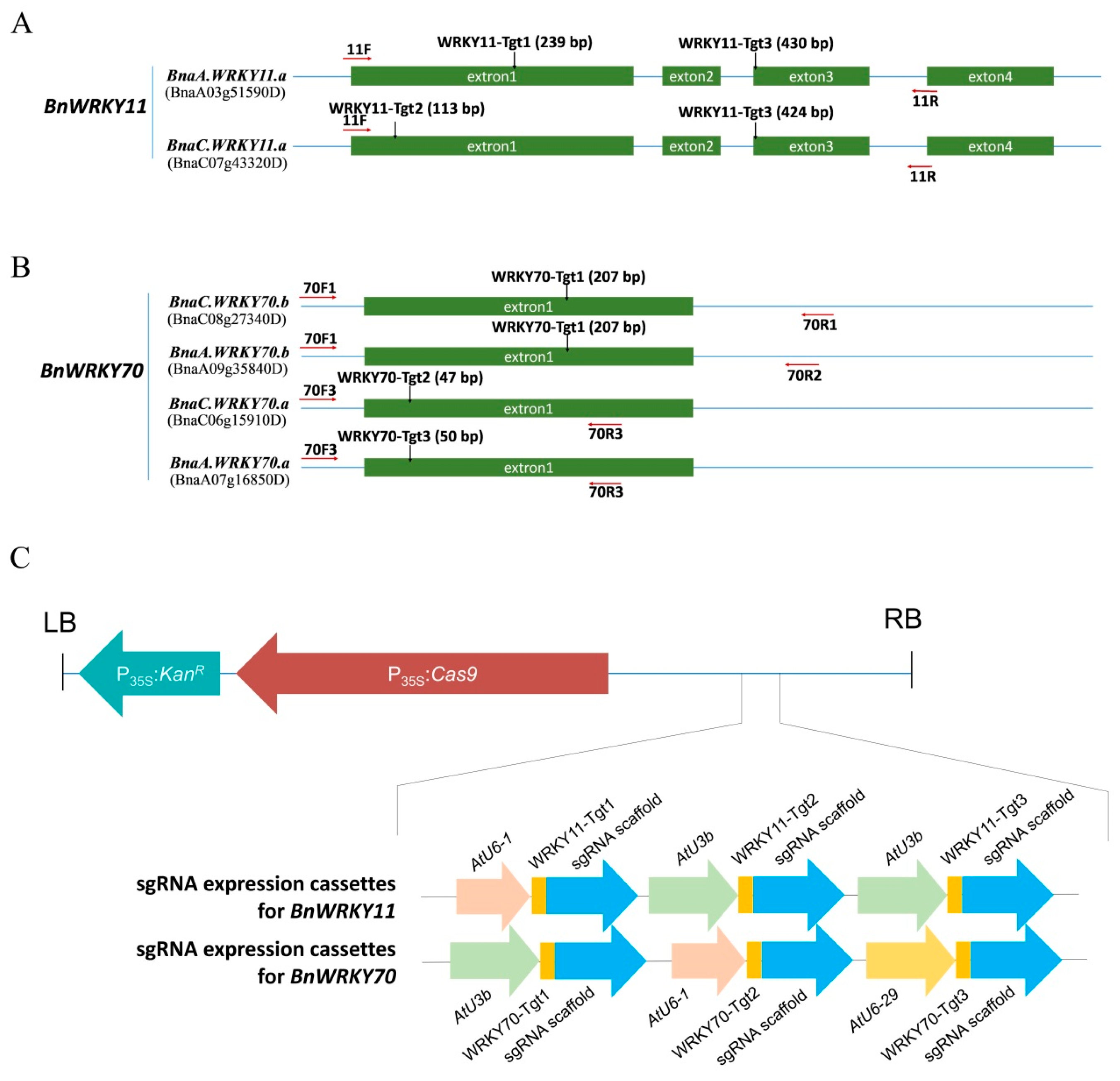 Ijms 19 02716 g002 Ijms 19 02716 g002