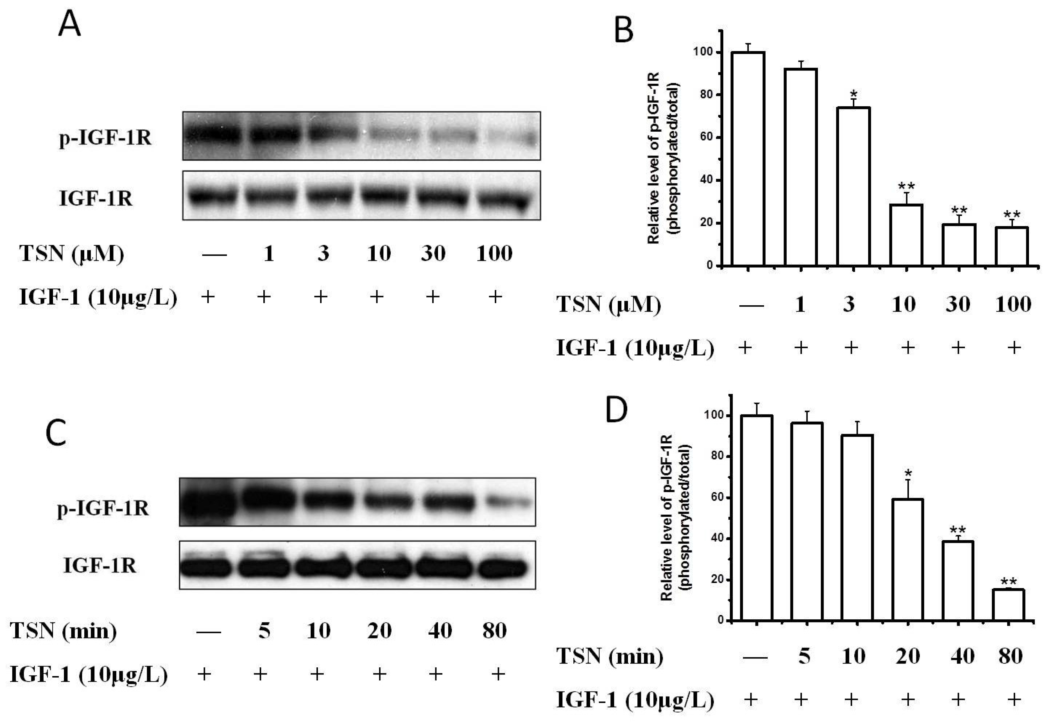 Ijms 19 02719 g004 Ijms 19 02719 g004