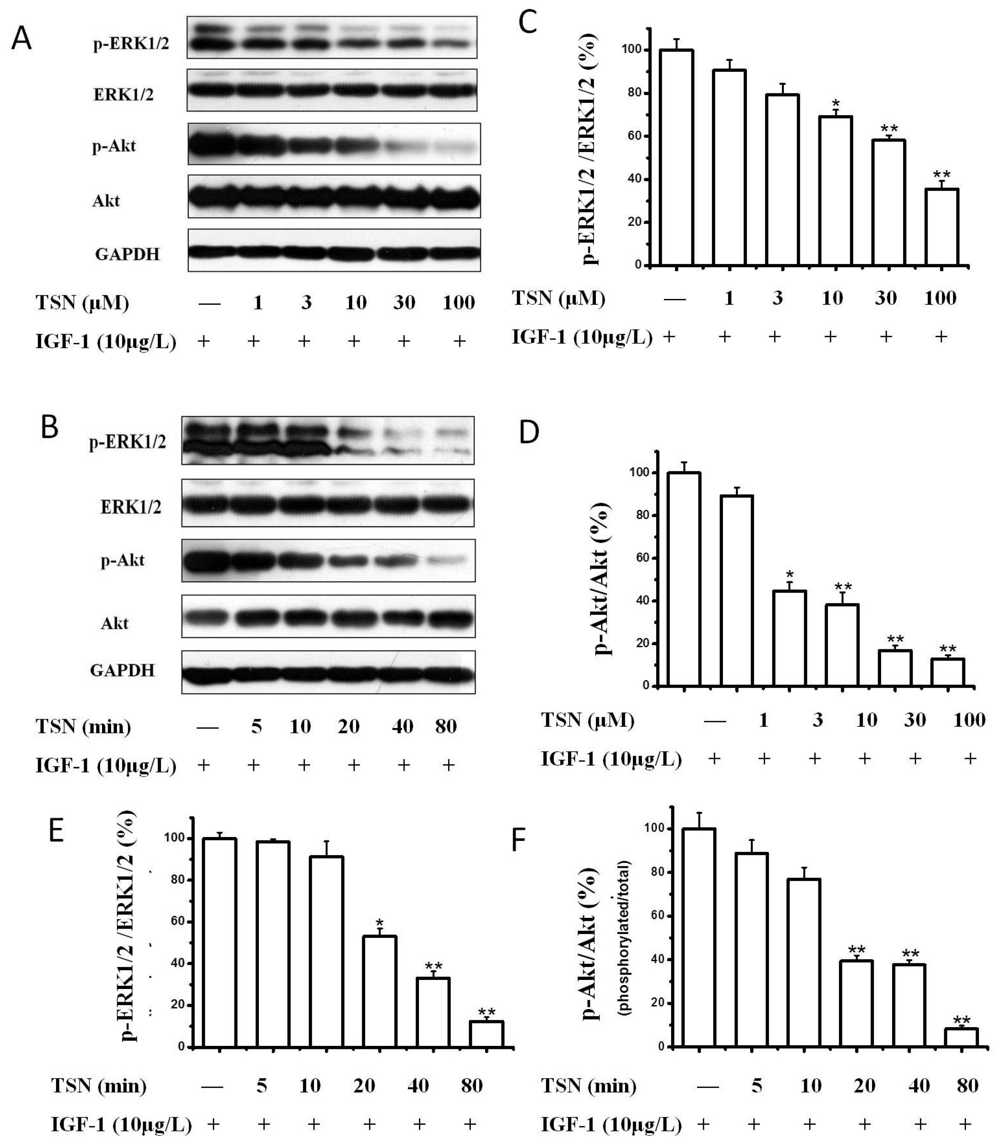 Ijms 19 02719 g005 Ijms 19 02719 g005