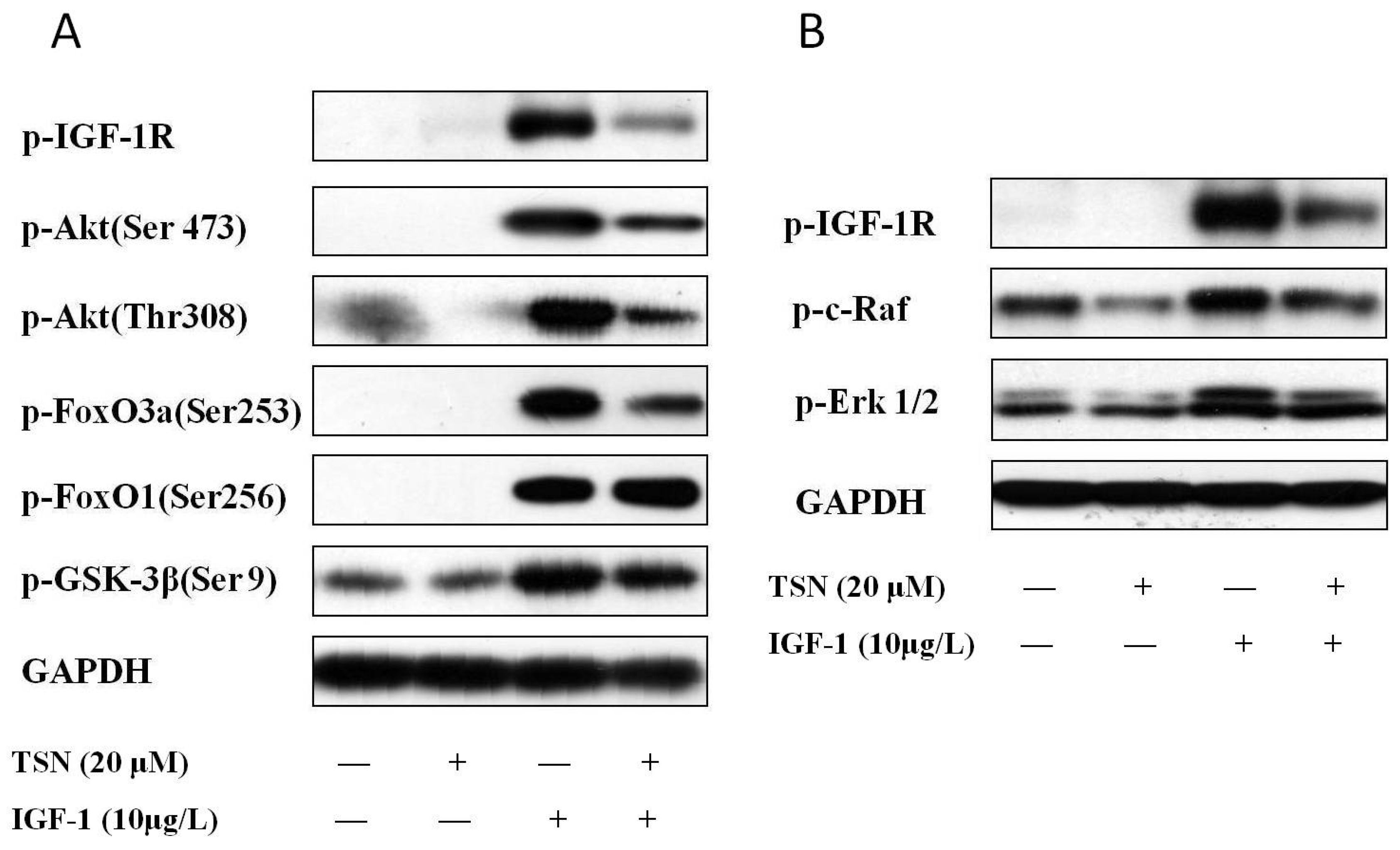 Ijms 19 02719 g006 Ijms 19 02719 g006
