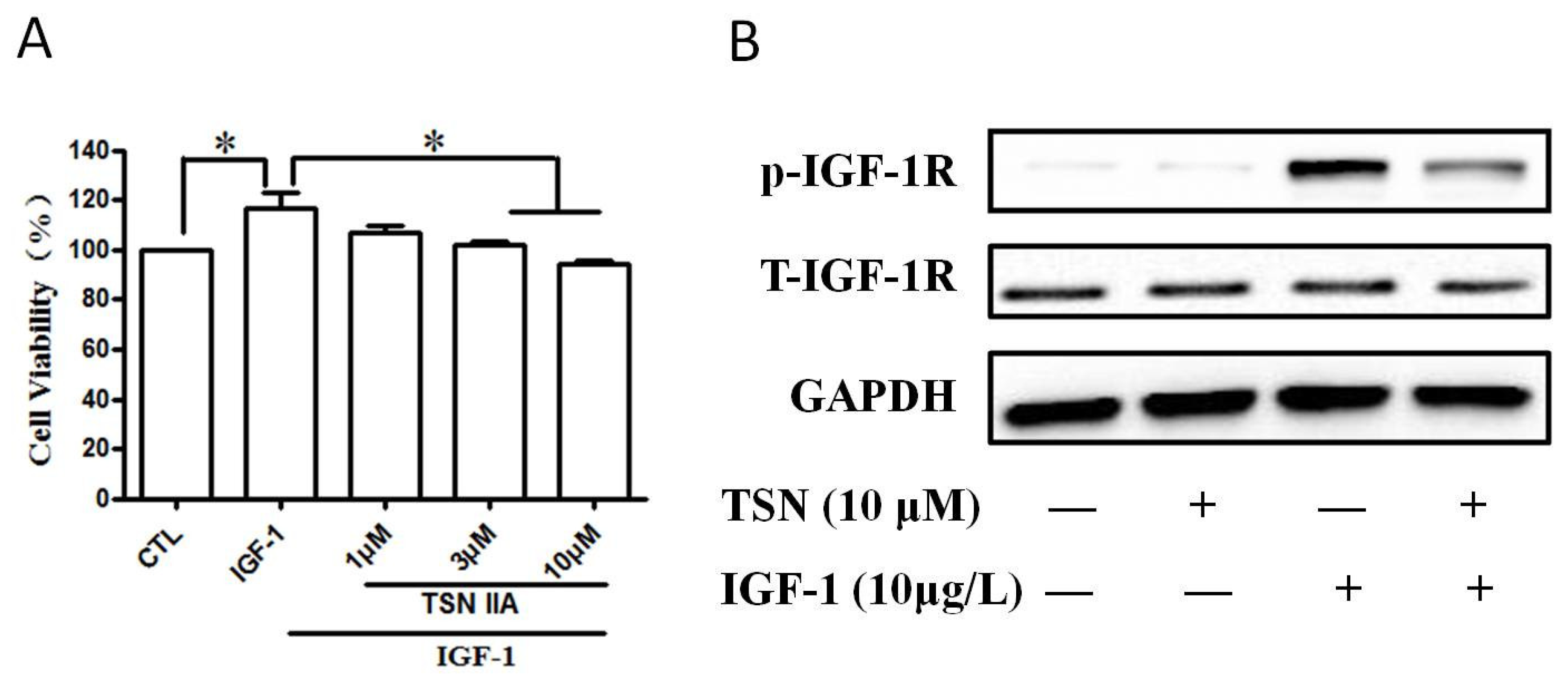 Ijms 19 02719 g007 Ijms 19 02719 g007