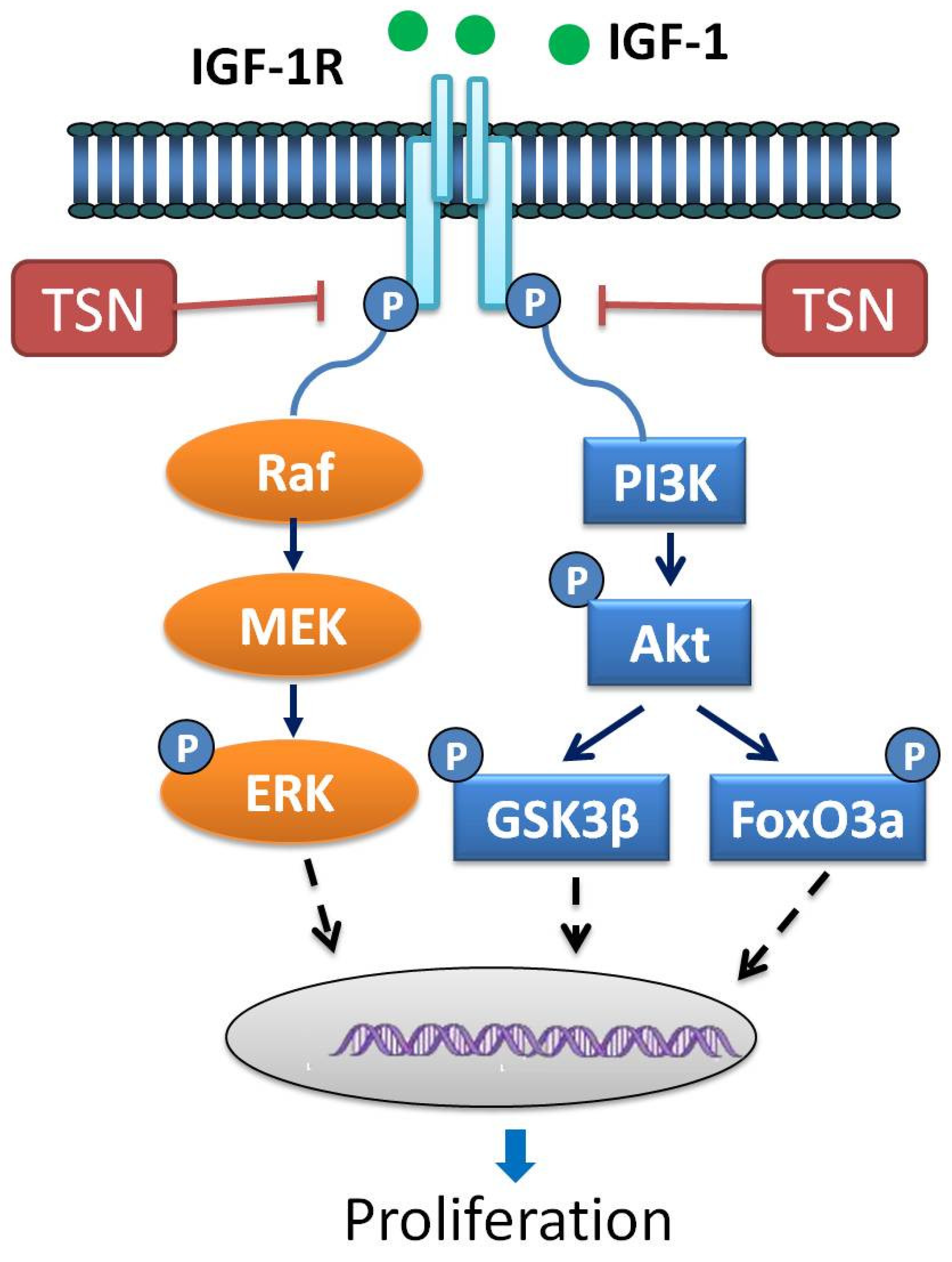 Ijms 19 02719 g008 Ijms 19 02719 g008