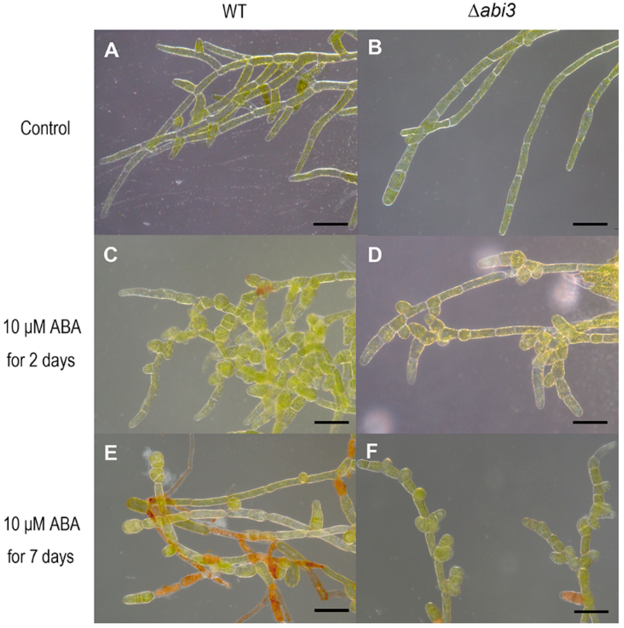 Ijms 19 02728 g002 Ijms 19 02728 g002