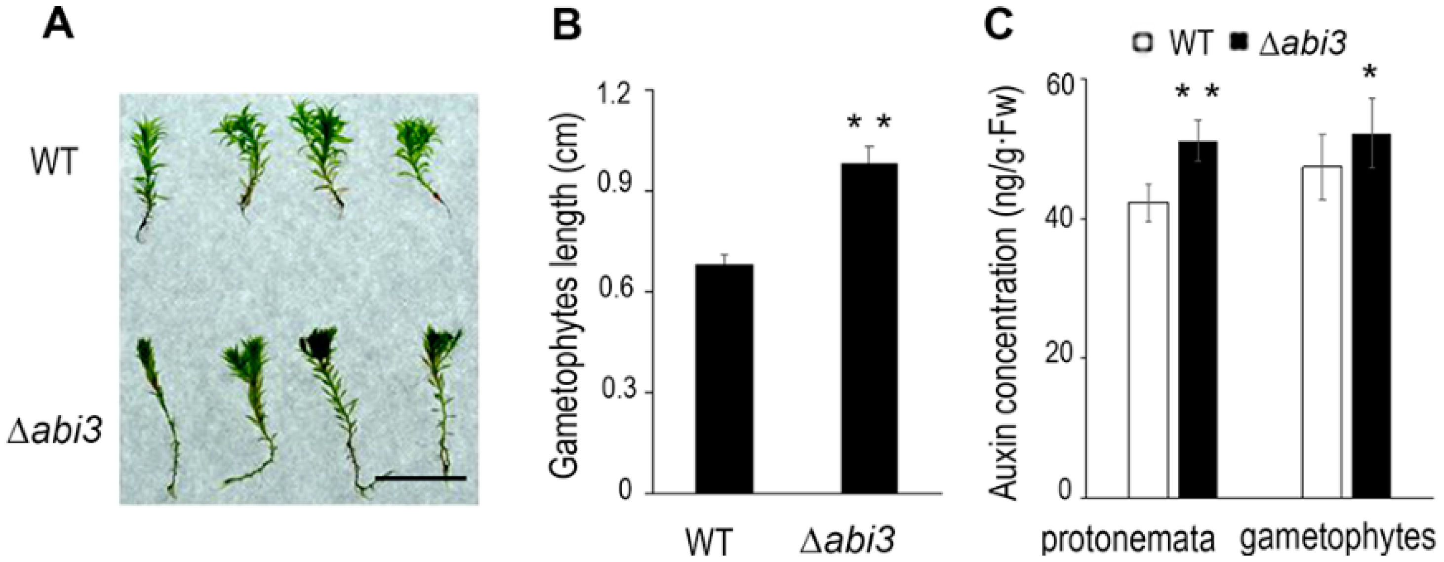 Ijms 19 02728 g004 Ijms 19 02728 g004