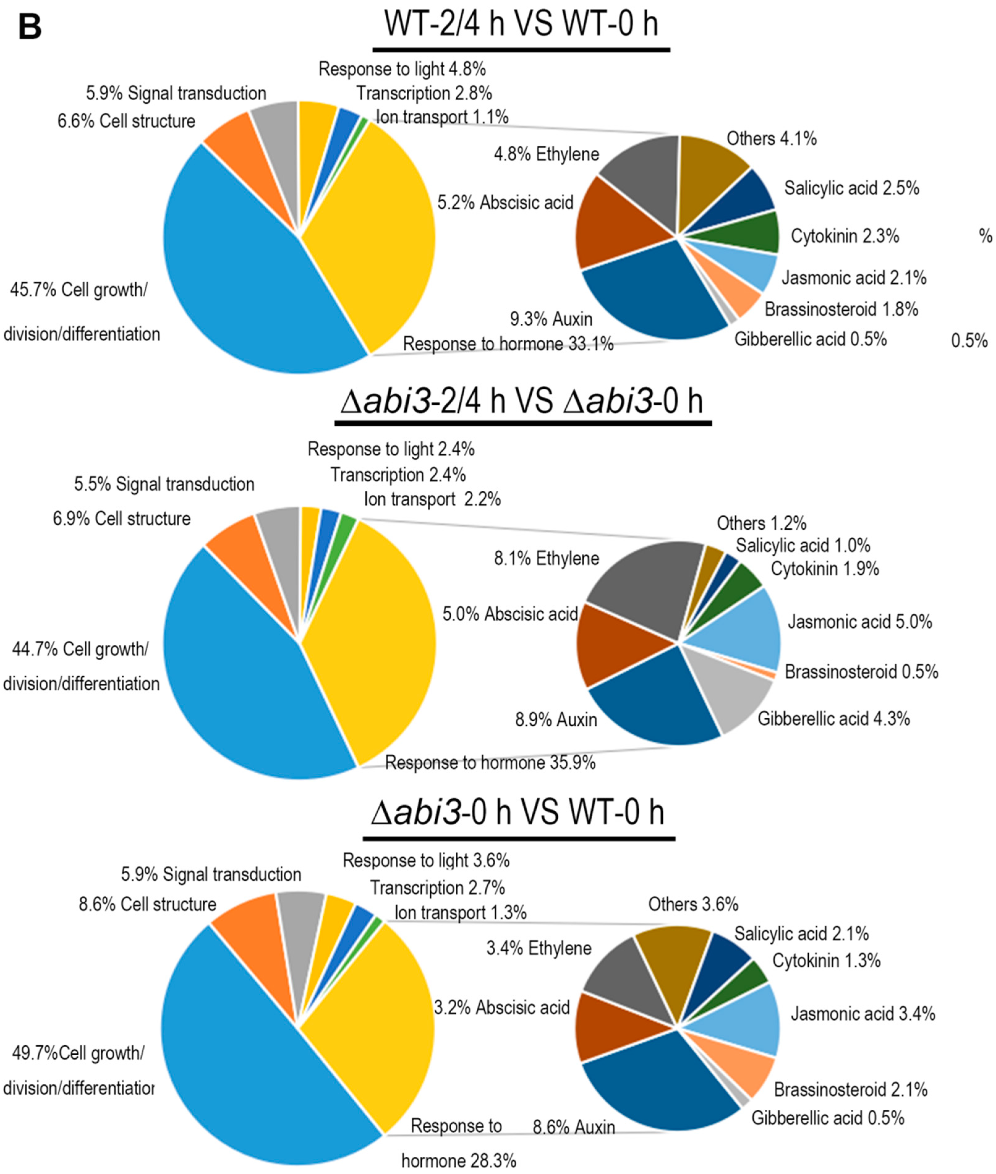 Ijms 19 02728 g007b Ijms 19 02728 g007b