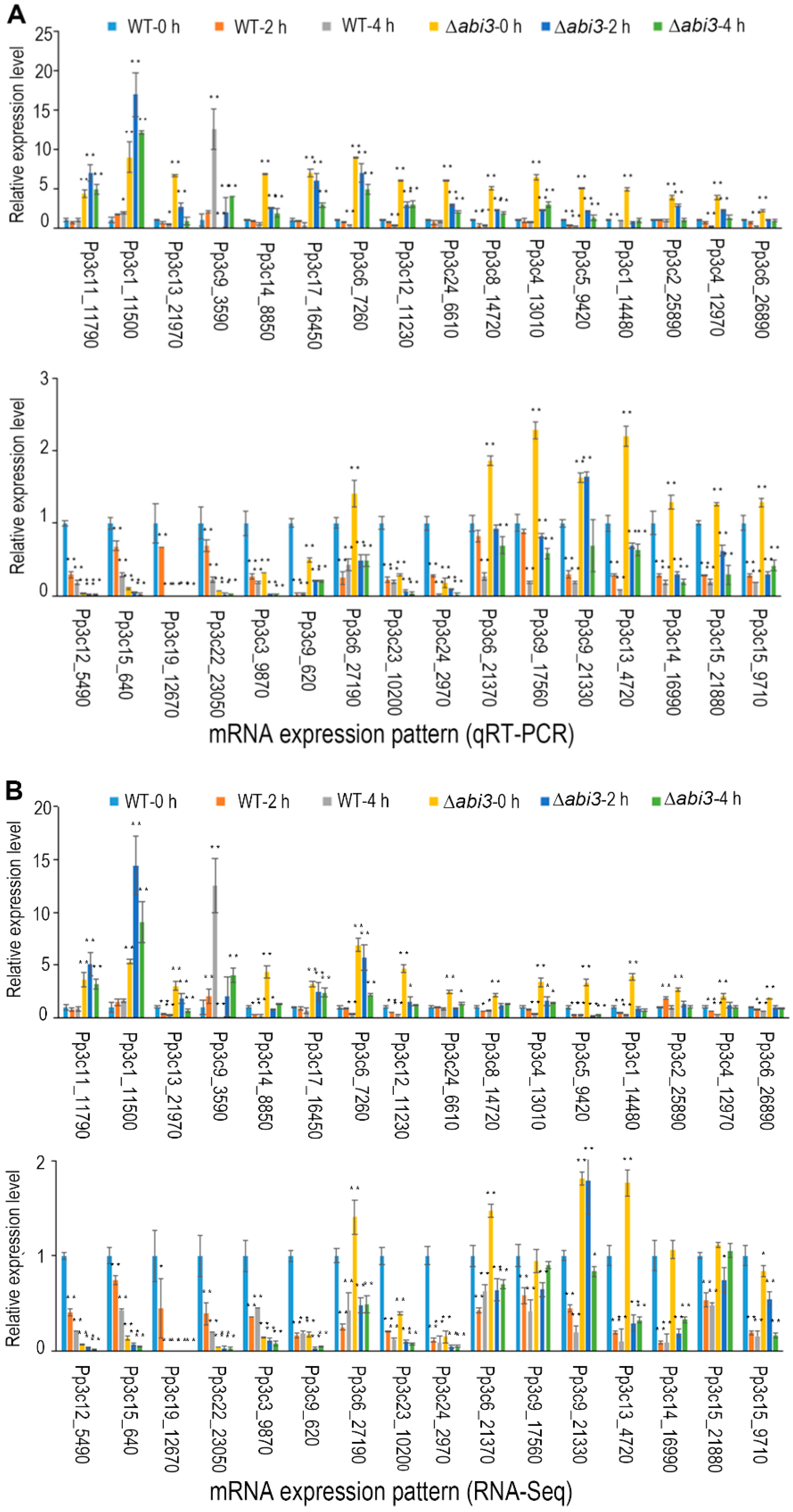 Ijms 19 02728 g009 Ijms 19 02728 g009