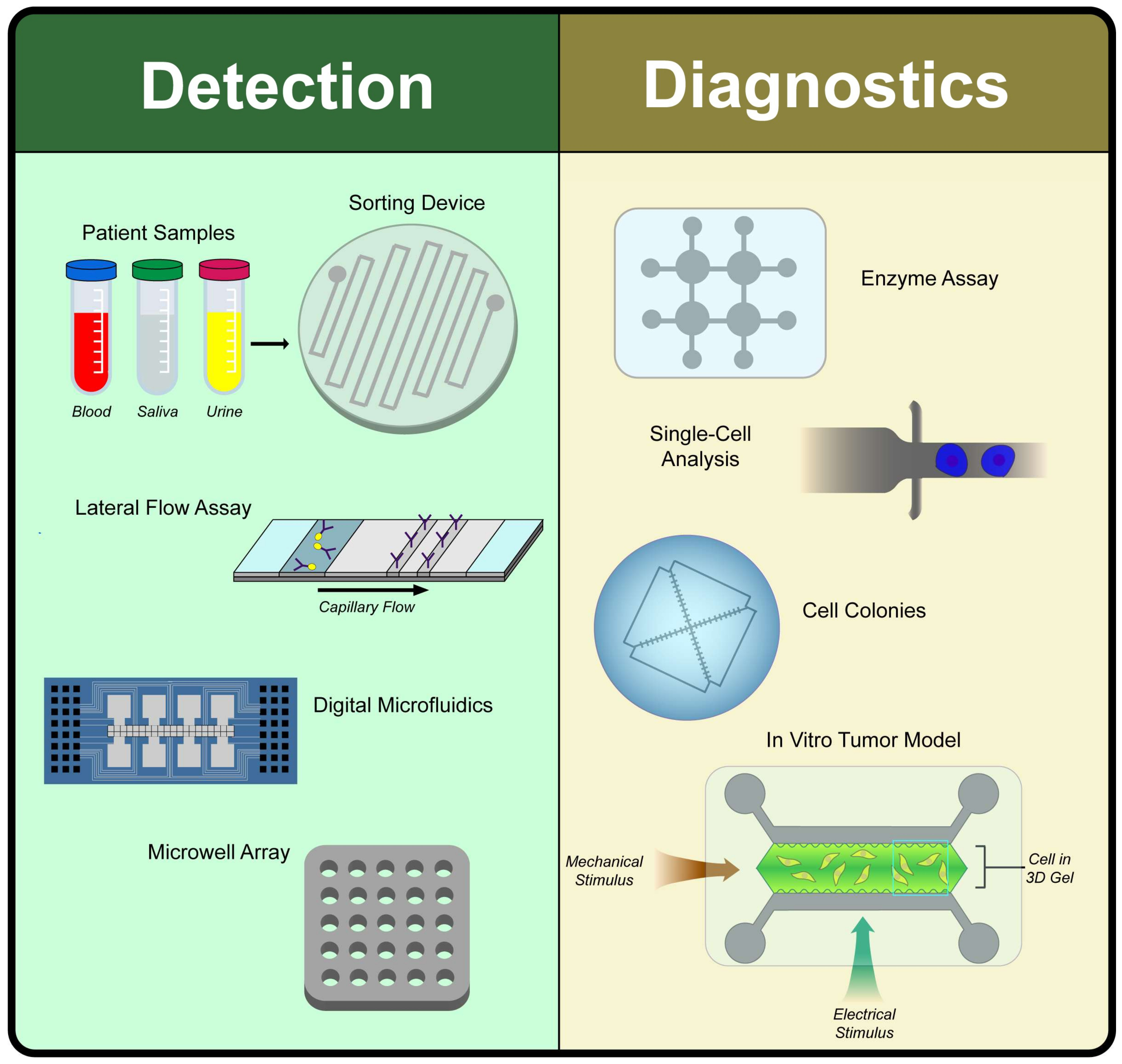 IJMS Free FullText Microfluidic and PaperBased Devices for