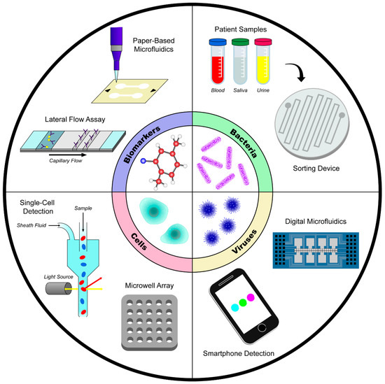 IJMS Free FullText Microfluidic and PaperBased Devices for