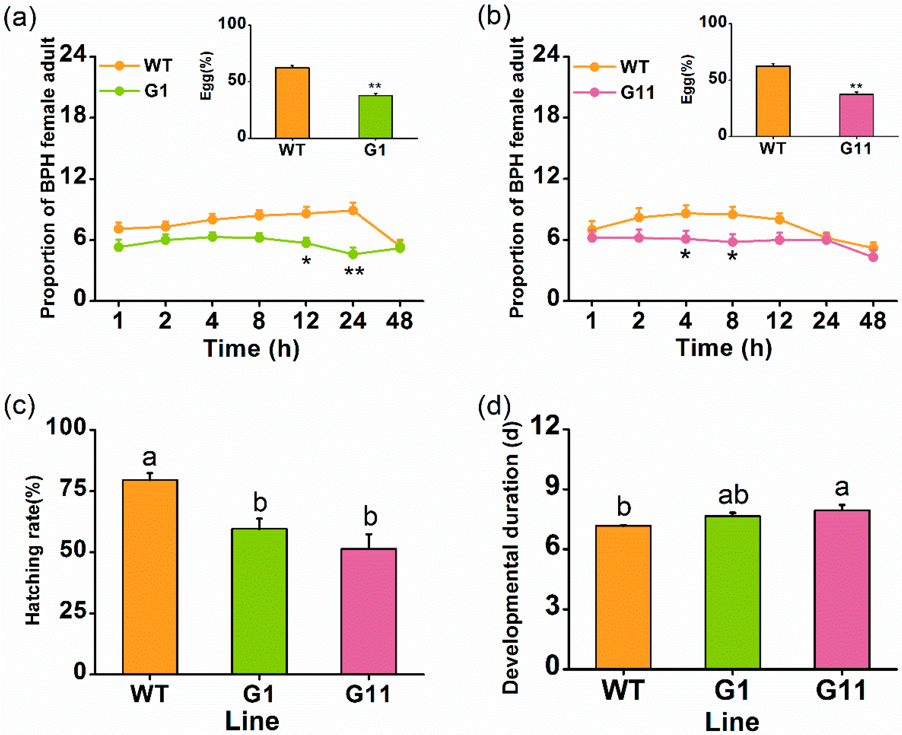 Ijms Free Full Text Overexpression Of Osgid1 Enhances The Resistance Of Rice To The Brown Planthopper Nilaparvata Lugens Html Ijms Free Full Text Overexpression Of Osgid1 Enhances The Resistance Of Rice To The Brown Planthopper Nilaparvata Lugens Html