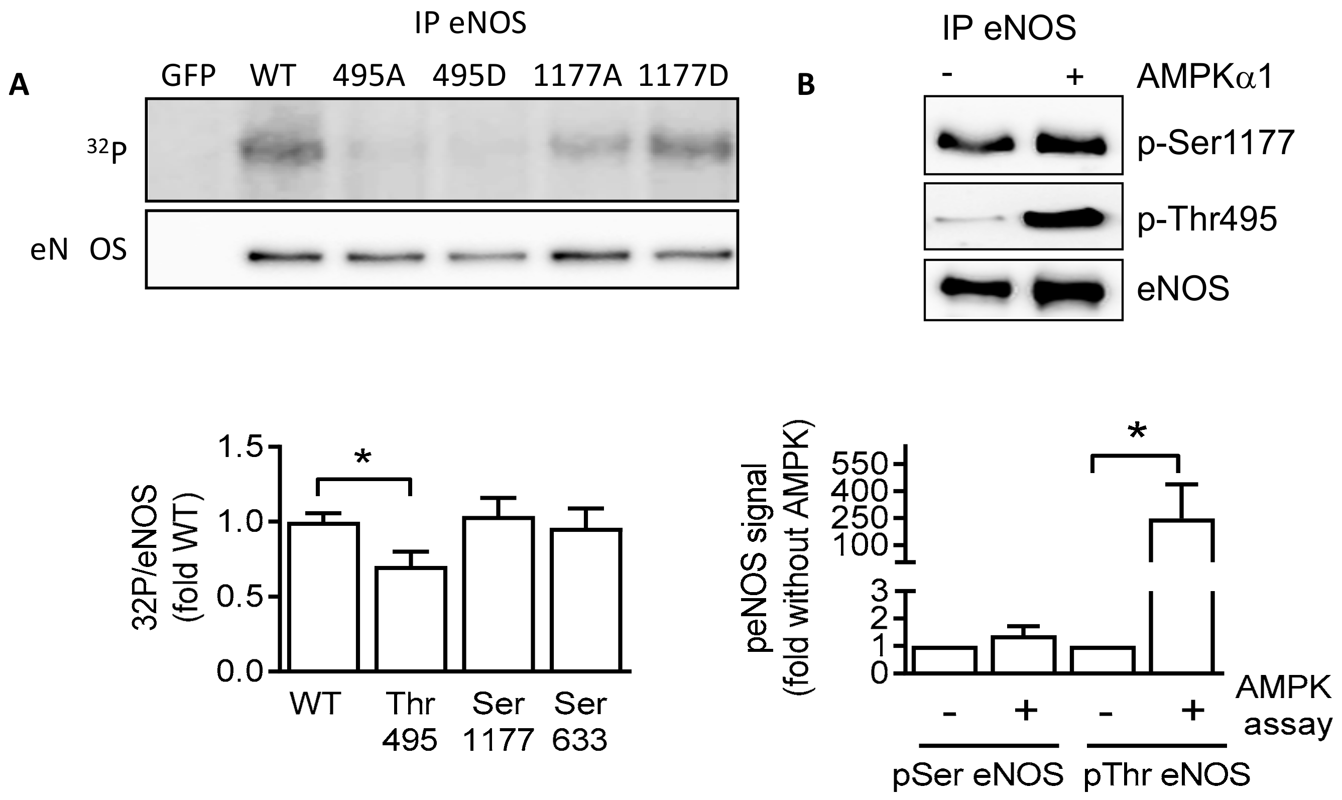 Ijms 19 02753 g004