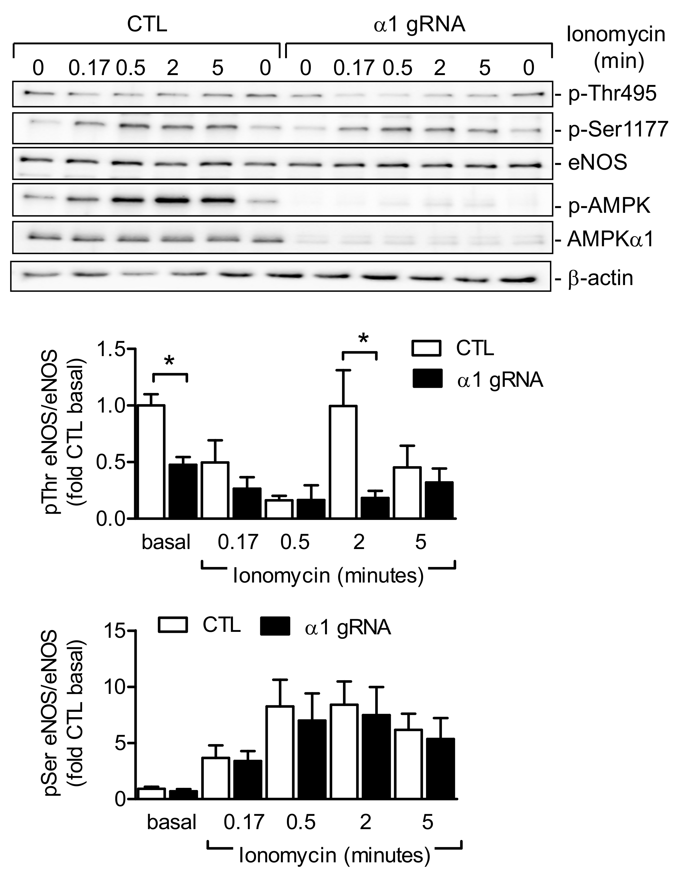 Ijms 19 02753 g006