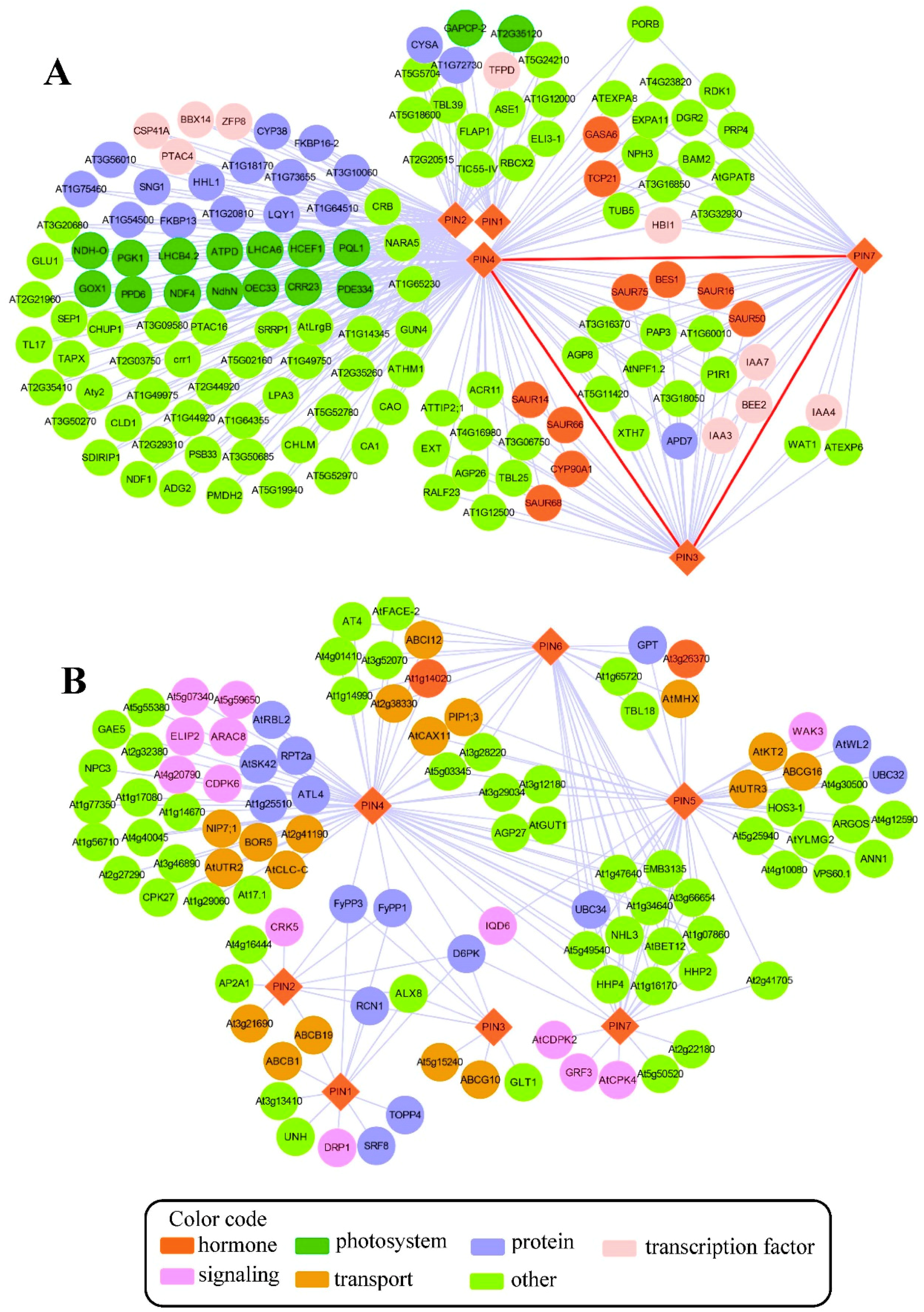 Ijms 19 02759 g002 Ijms 19 02759 g002