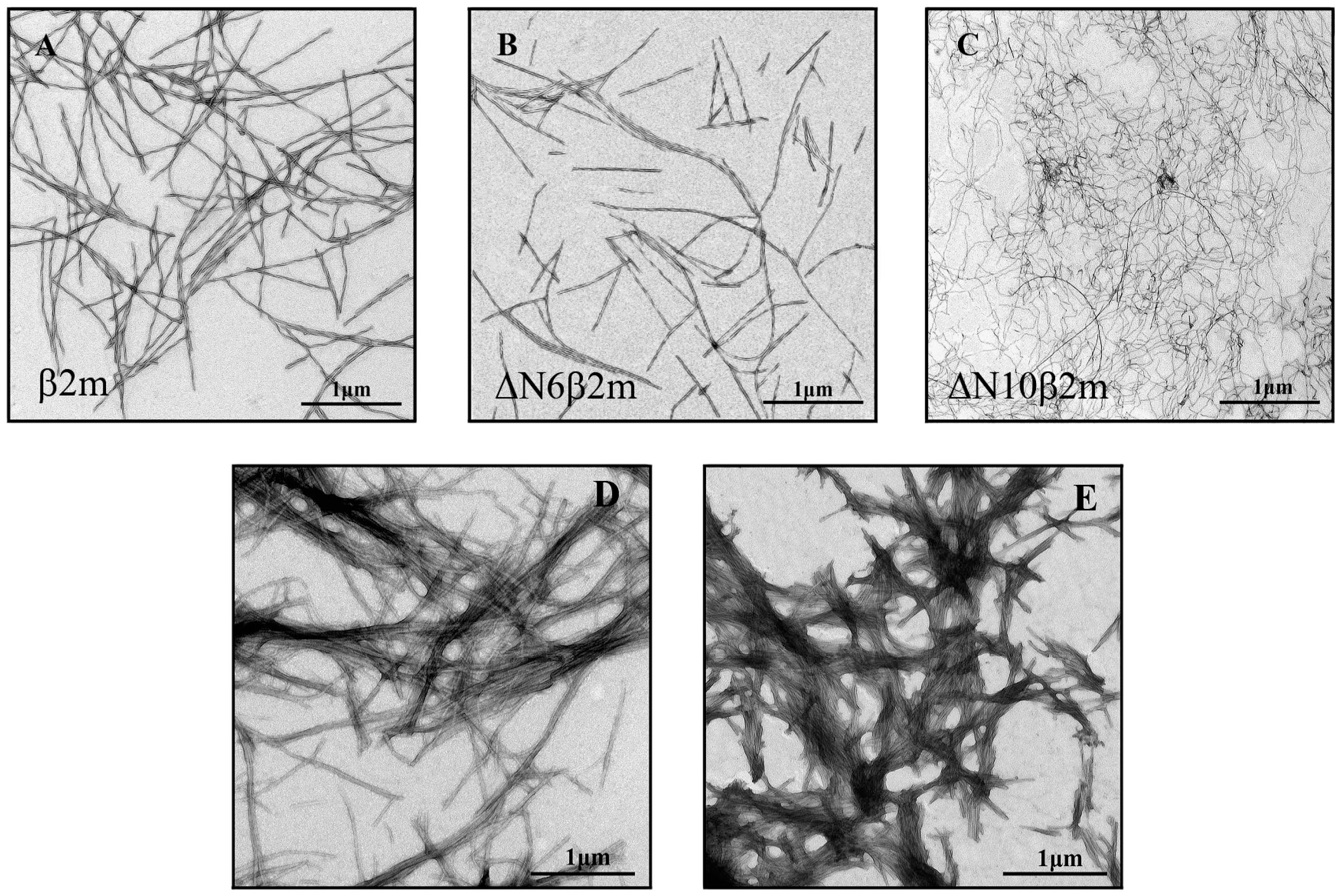 Ijms 19 02762 g001 Ijms 19 02762 g001