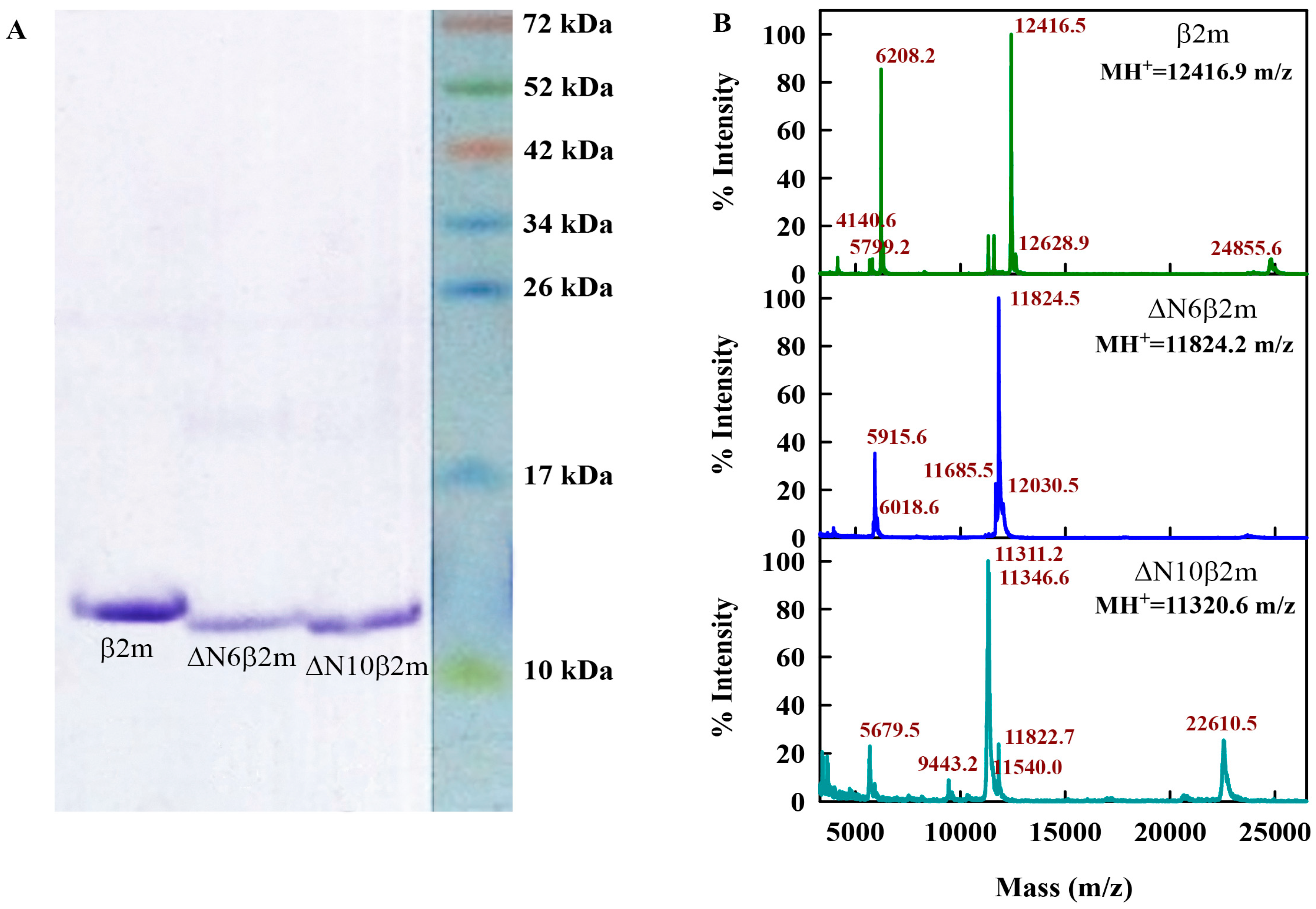 Ijms 19 02762 g006 Ijms 19 02762 g006
