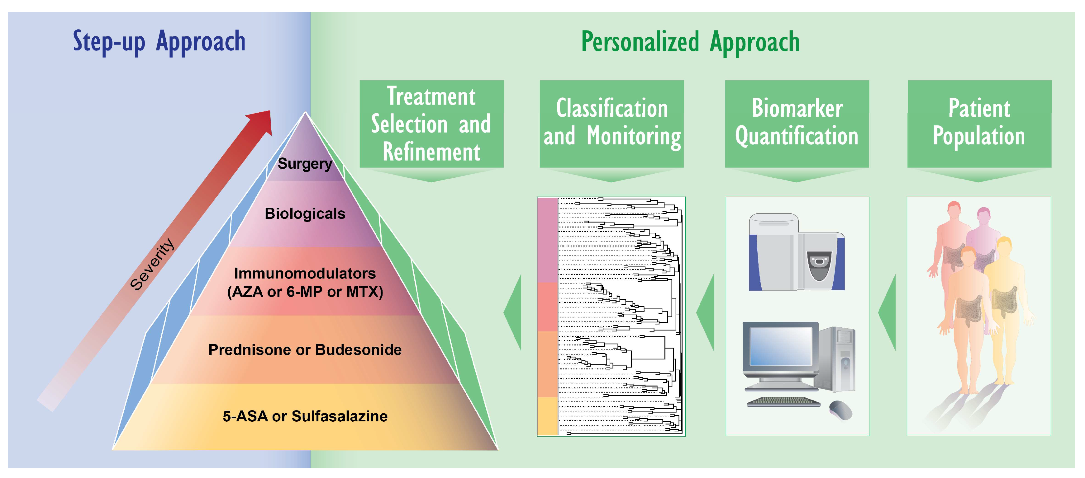 IJMS Free FullText Proteomics and Lipidomics in Inflammatory Bowel