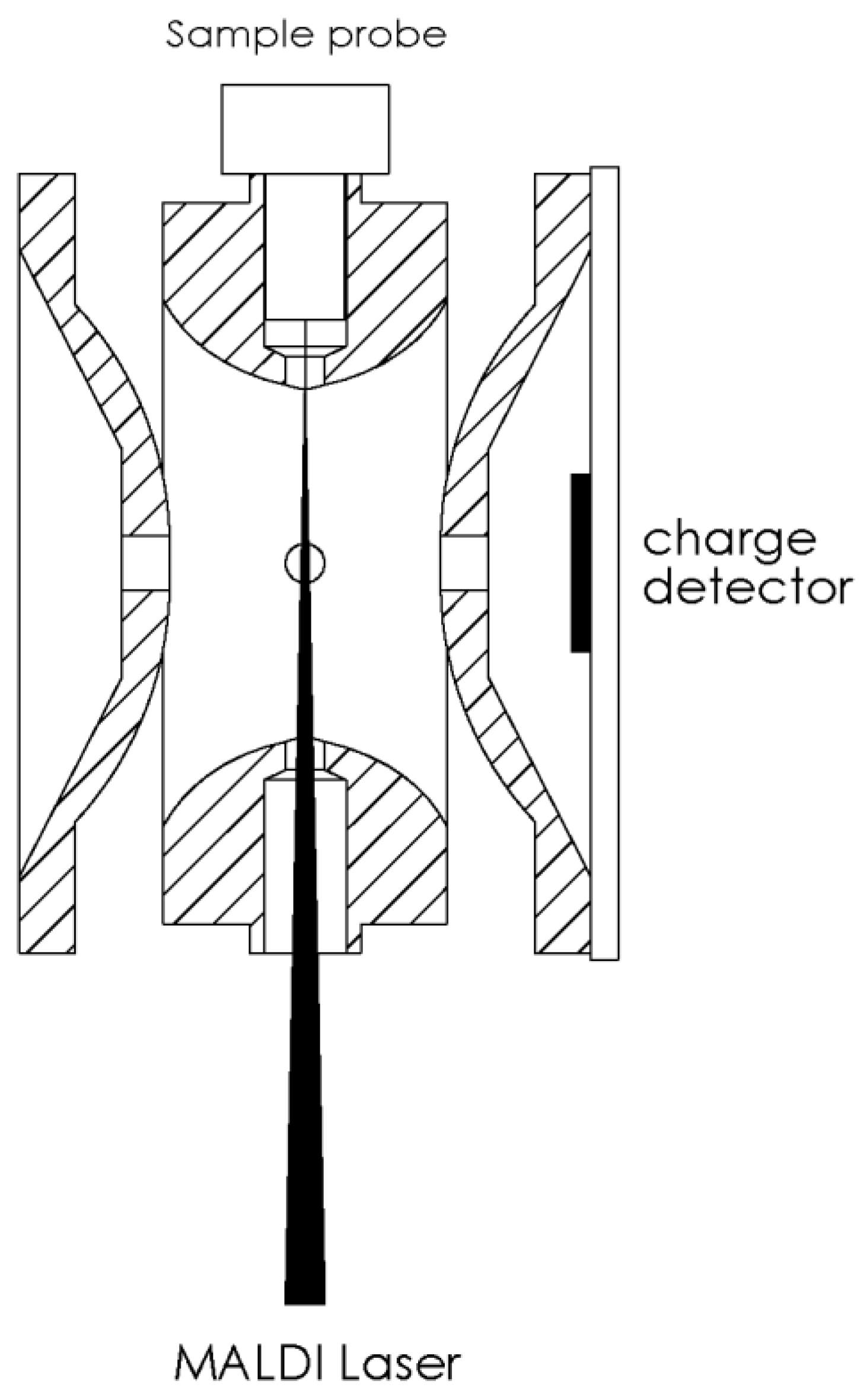 Ijms 19 02789 g008 Ijms 19 02789 g008