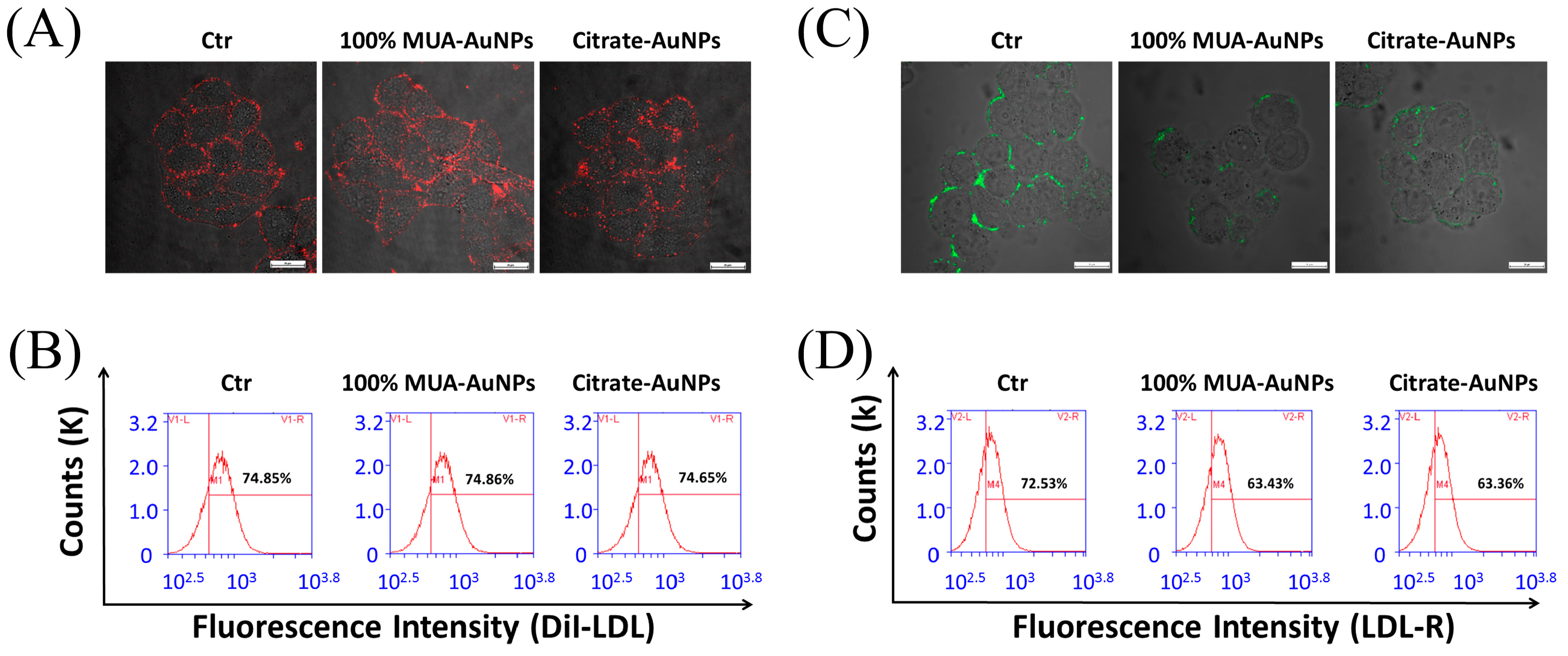 Ijms 19 02790 g003 Ijms 19 02790 g003