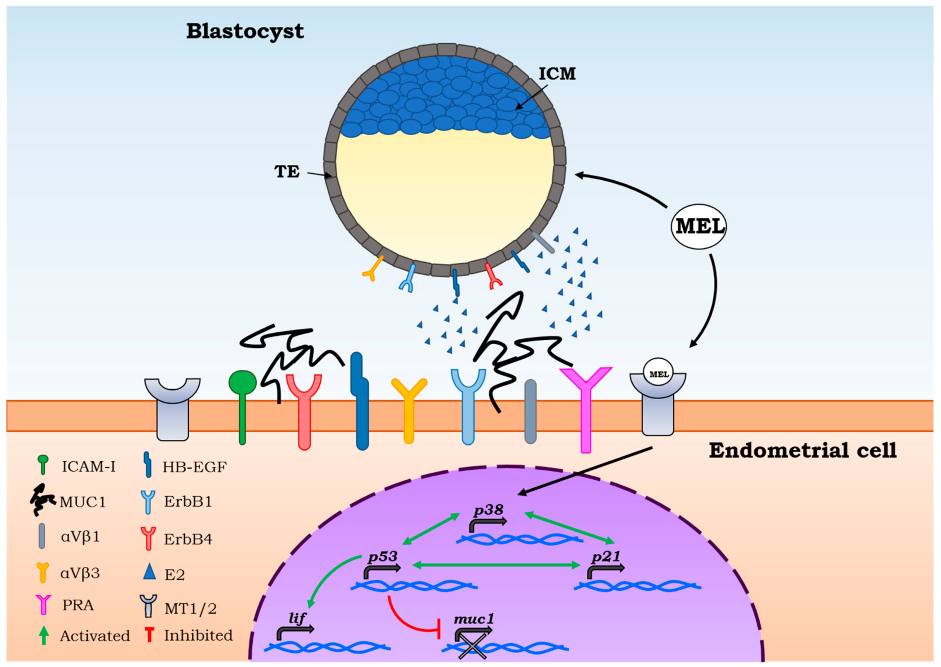 Ijms 19 02802 g001 Ijms 19 02802 g001