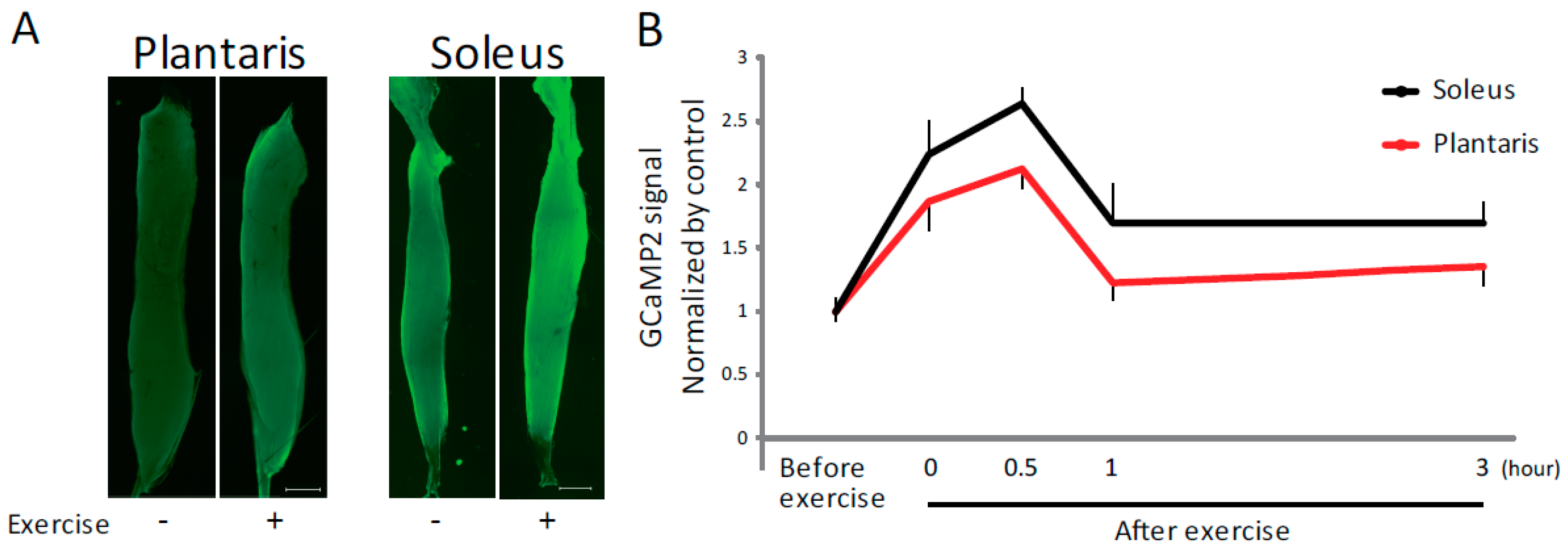 Ijms 19 02804 g001 Ijms 19 02804 g001