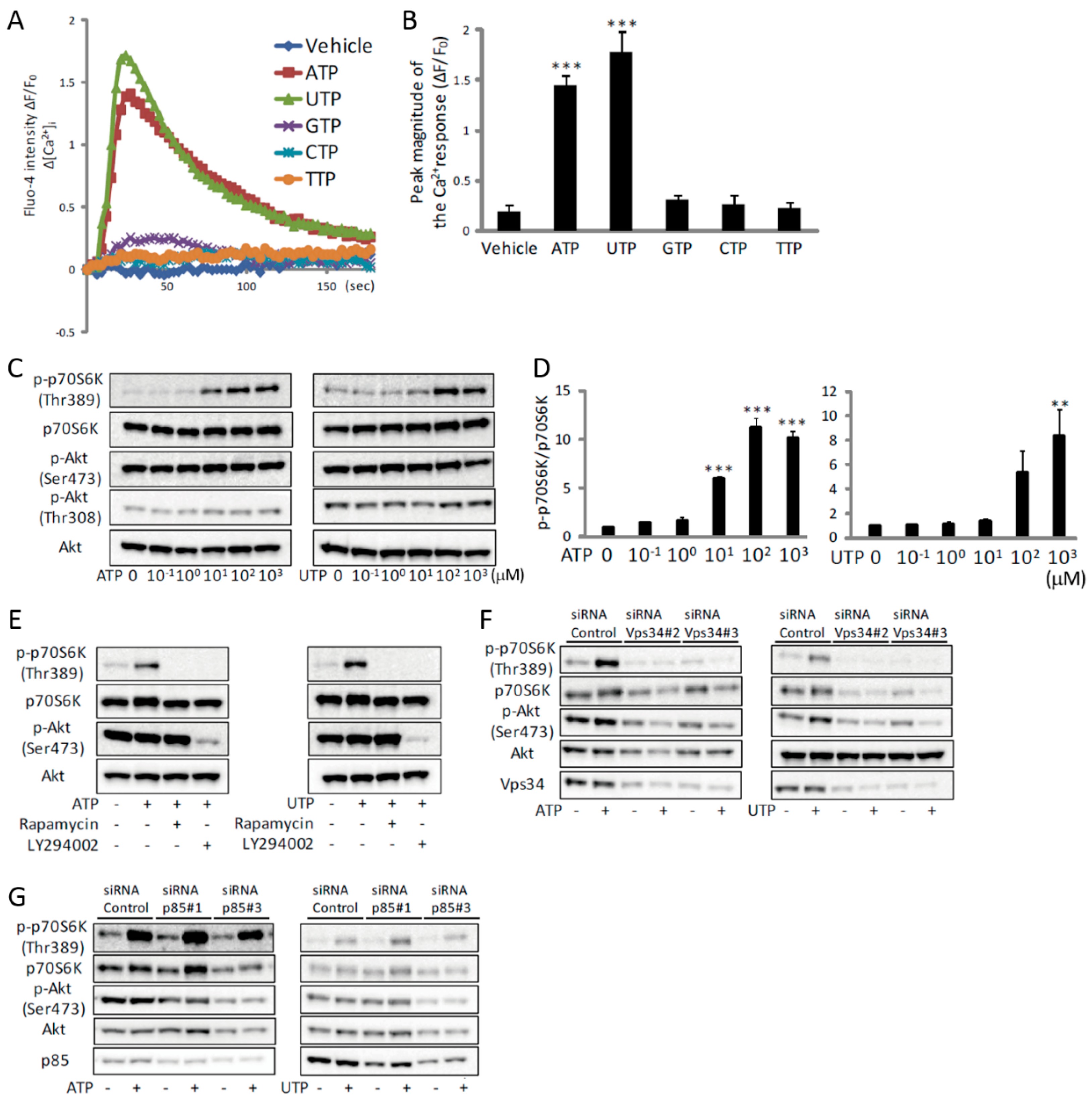 Ijms 19 02804 g002 Ijms 19 02804 g002